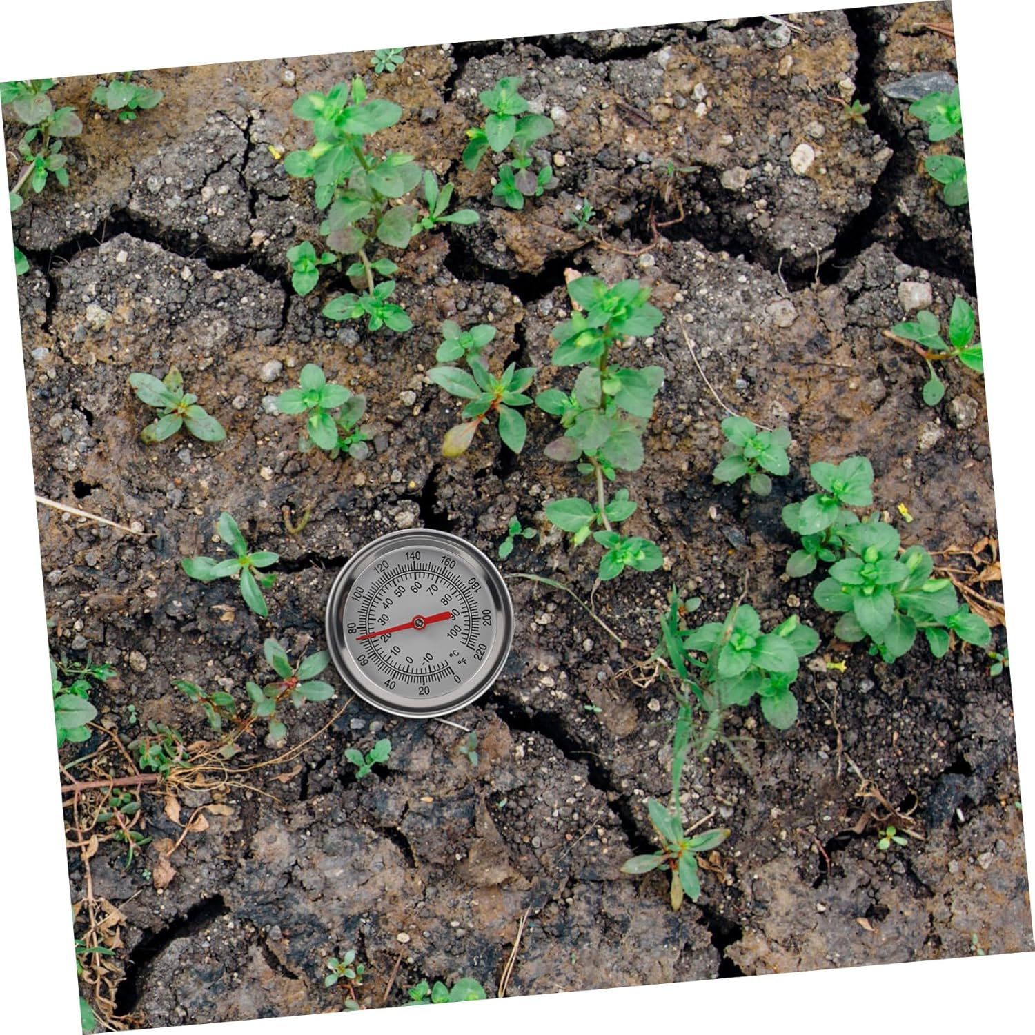 Stainless Steel Compost Soil Thermometer Extended 50Cm Probe for Gardening and Planting, Precise Soil Temperature Detector 10 to 100℃ 0 to 220℉, Single Pack