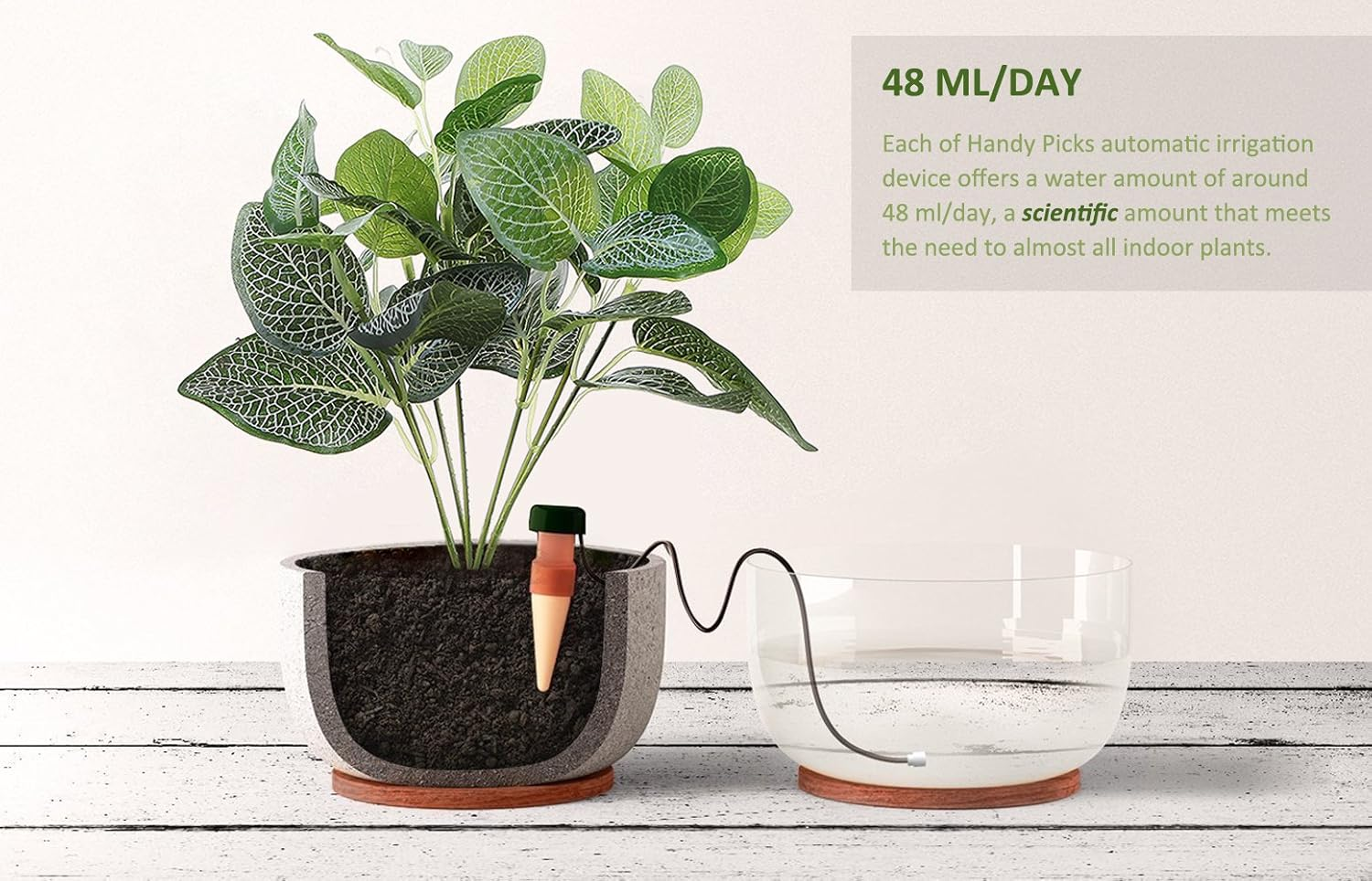 Watering Stakes, Indoor Plant Watering System, Automatic Drip Irrigation Devices for Indoor Plants during Holiday Automatic and Scientific Drip Irrigation Device, Handy Picks (Pack of 10) image number 5