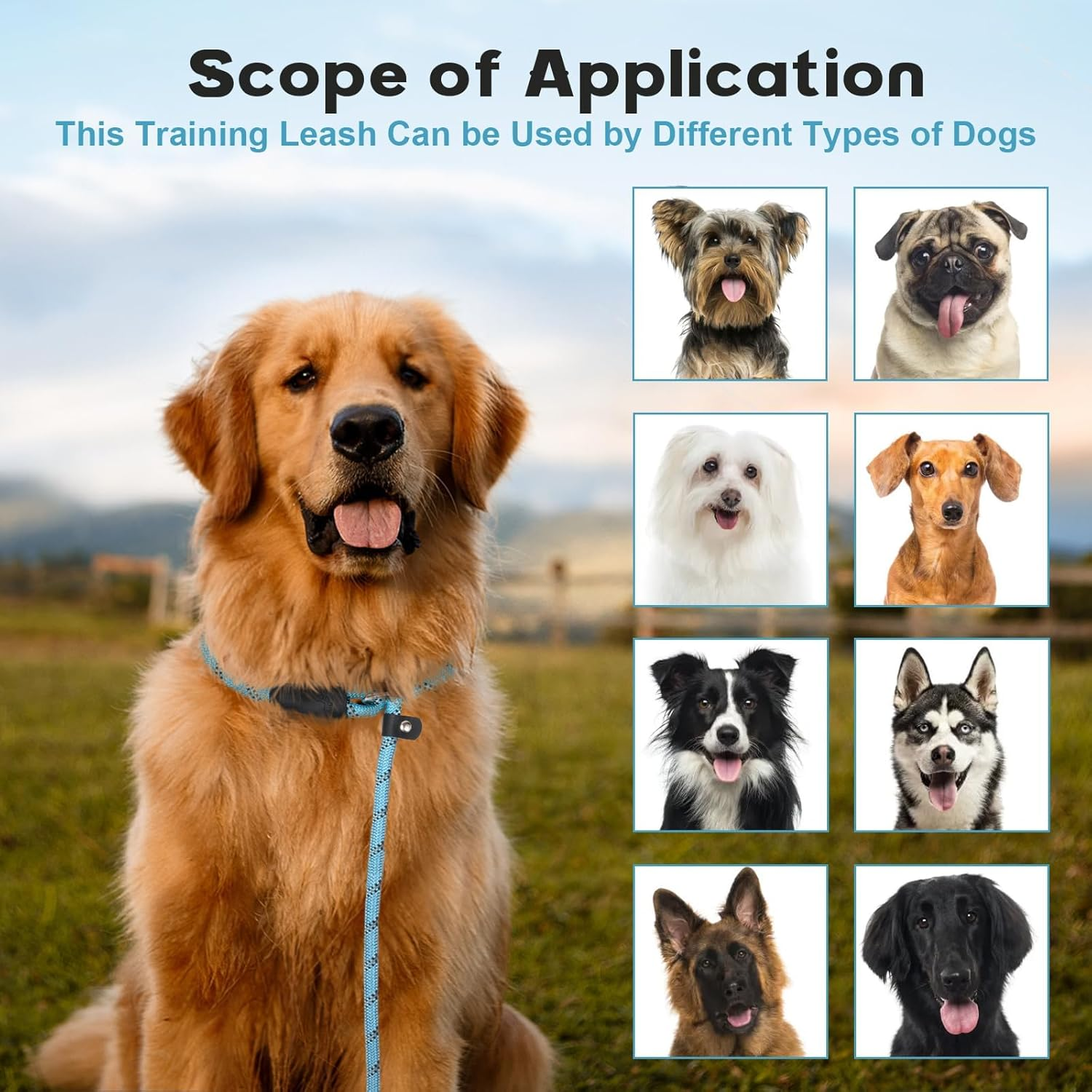 Catchu All-In-One Dog Leash, Easy Slip-On Design, Convenient for Walks, Adjustable P-Leash for Training and Control - Blue image number 5