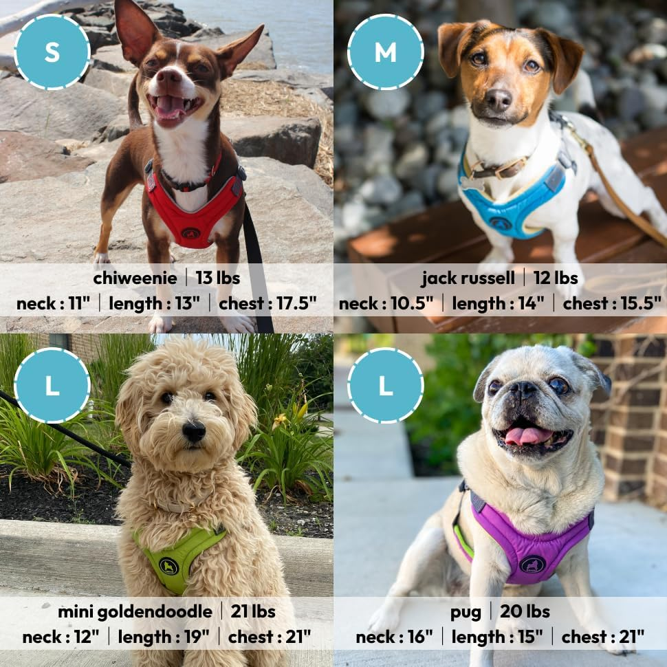 Gooby Escape Free Memory Foam Harness - Blue, Medium - No Pull Step-In Small Dog Harness with Four Point Adjustment - Perfect on the Go Dog Harness for Medium Dogs No Pull and Small Dogs image number 4