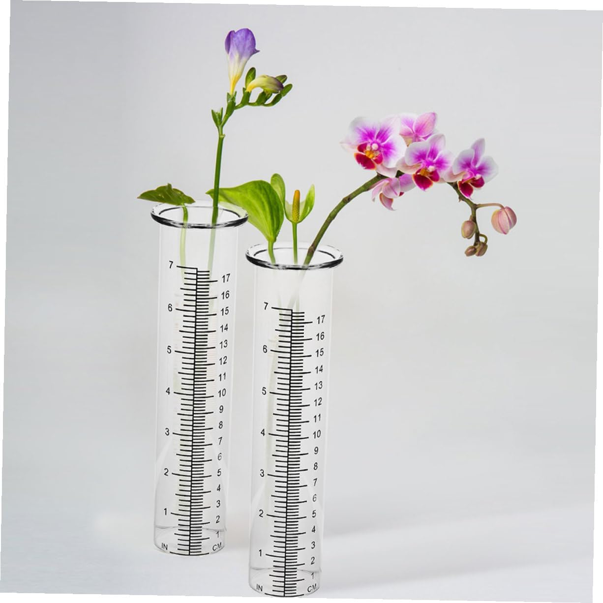 4Pcs Clear Rain Gauge Tubes Transparent Rain Measuring Tool for Garden Lawn Outdoor Precipitation Monitoring image number 1