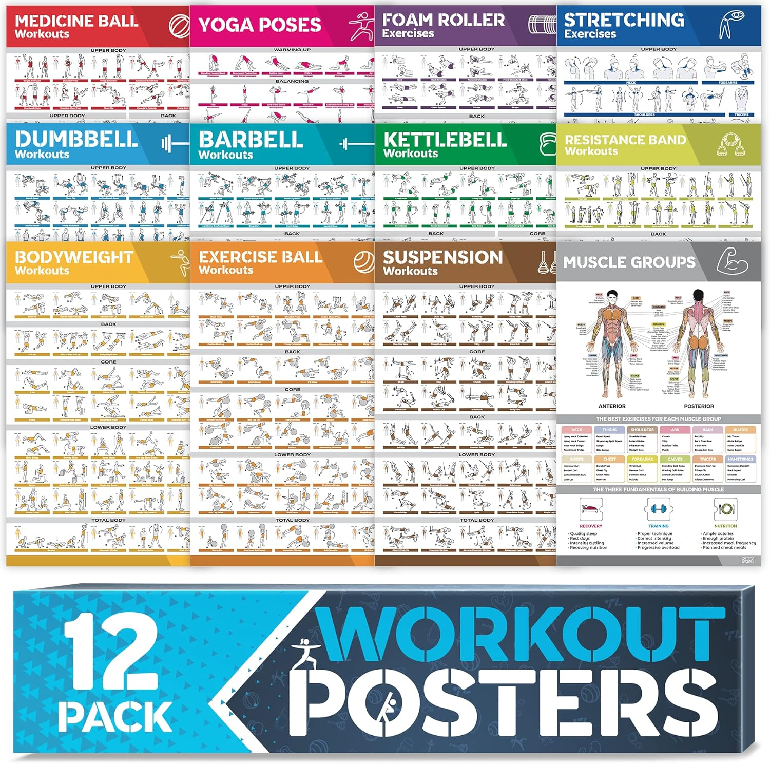 [12-PACK] Laminated Large Workout Poster Set - Perfect Workout Posters for Home Gym - Exercise Charts Incl. Dumbbell, Yoga Poses, Resistance Band, Kettlebell, Stretching & More Fitness Gym Posters image number 2