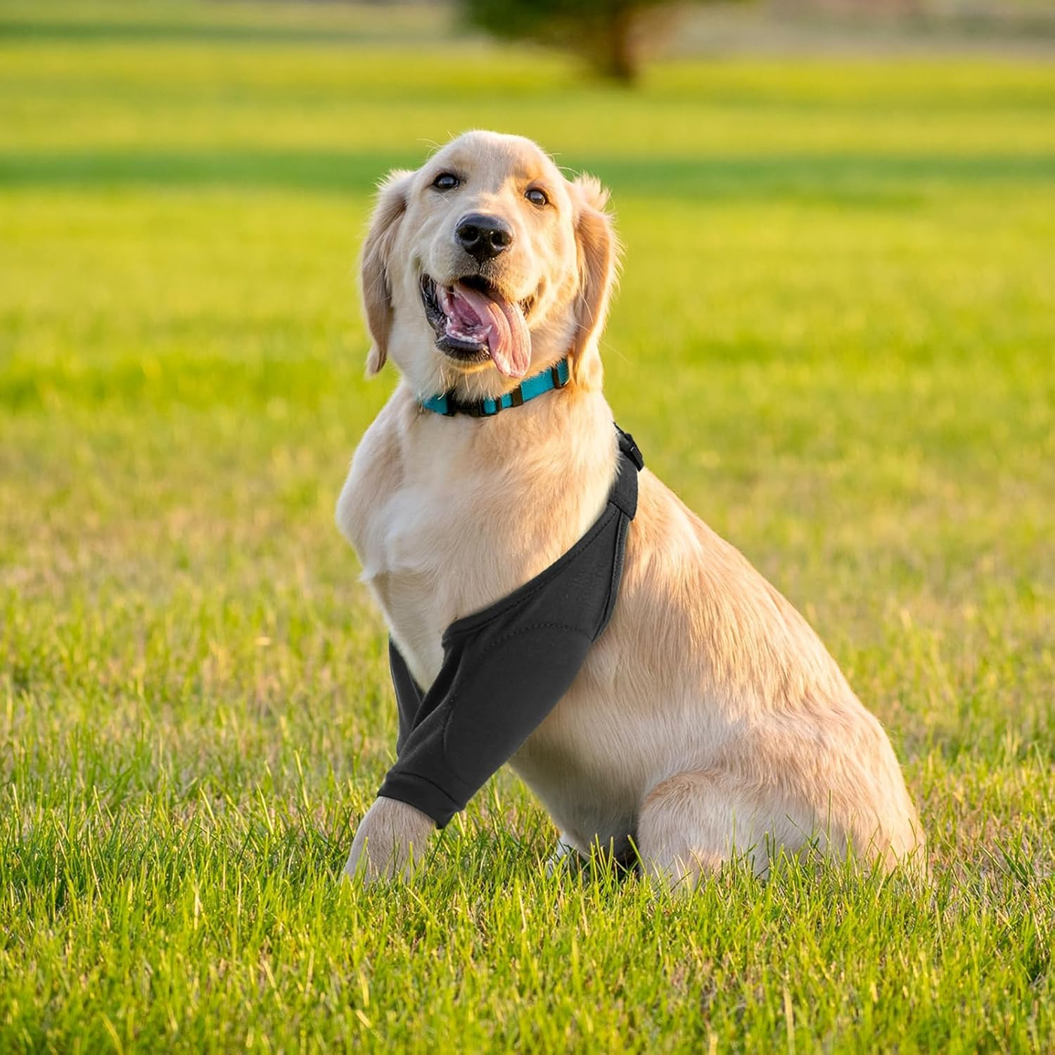 Dog Elbow Protector for Front Leg Calluses, Dog Joint Recovery Sleeve for Prevent Licking, Adjustable Dog Elbow Pads Dog Leg Wound Care, Dog Knee Brace Protector Pads for Canine Sprain Arthritis, L