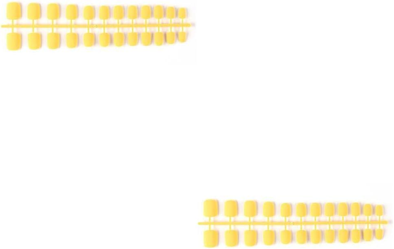 2 Set of Frosted Coffin False Nails DIY French Style Elegant Personality Acrylic Nail for Manicure Lovers 22Sweet Orange, 22Sweet Orange 2Set