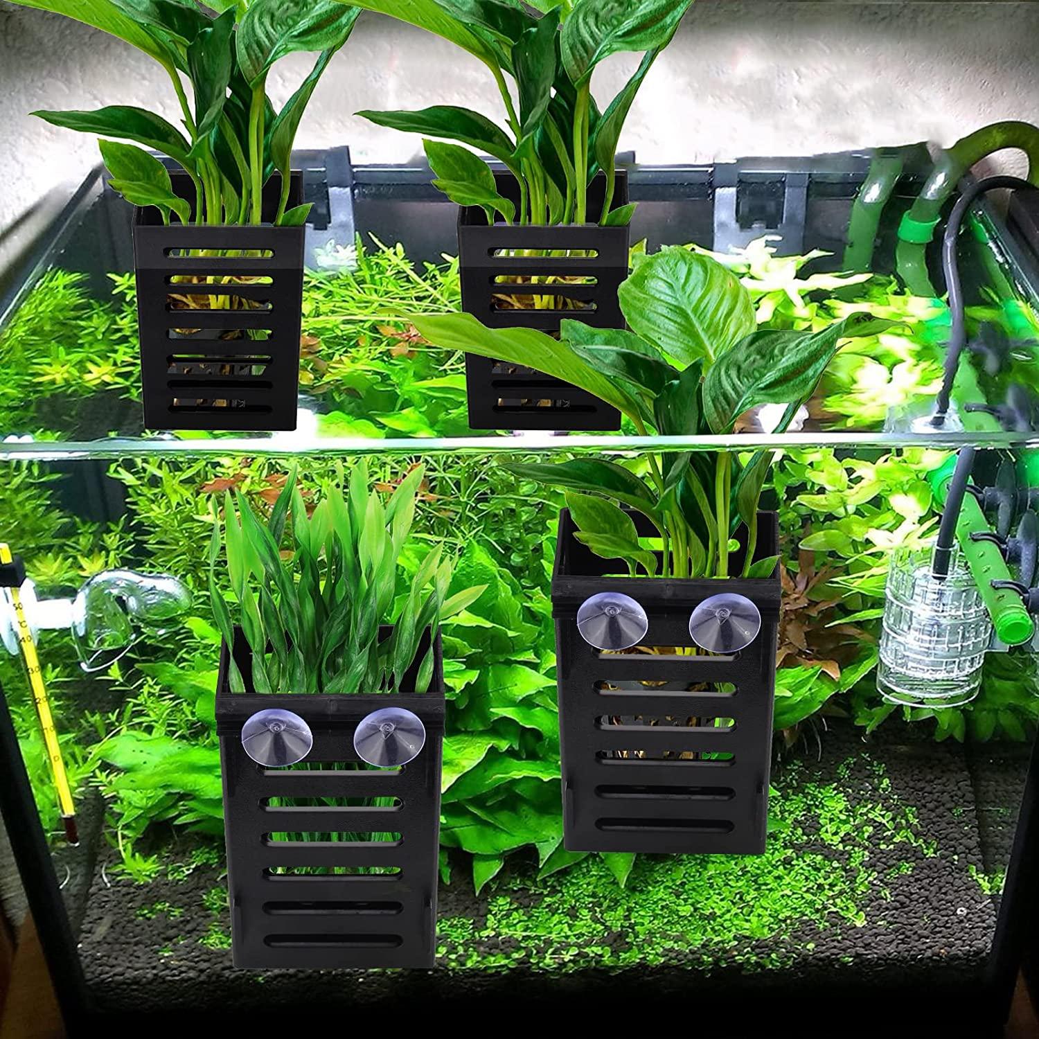 BABORUI 2 Pack Aquarium Plant Holder with Hooks and Suction Cups, Hanging Aquatic Planter Cups for Aquarium Decorations Plants, Aquarium Decor for Fish Tank Live Aquarium Plants, Black, (H-207) image number 4