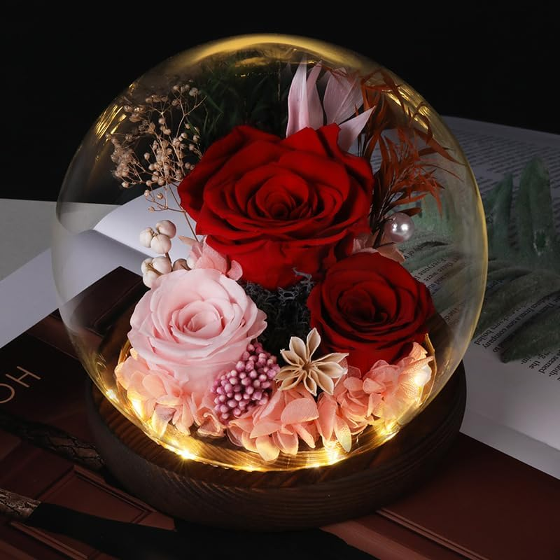 Rose in Glass Dome, Long-Lasting Real Flowers, with LED Light, Unique for Mother'S Day & Christmas & Valentine'S Day, Preserved Flowers Rose Gifts for Wife Girlfriend Mom (Red) image number 5