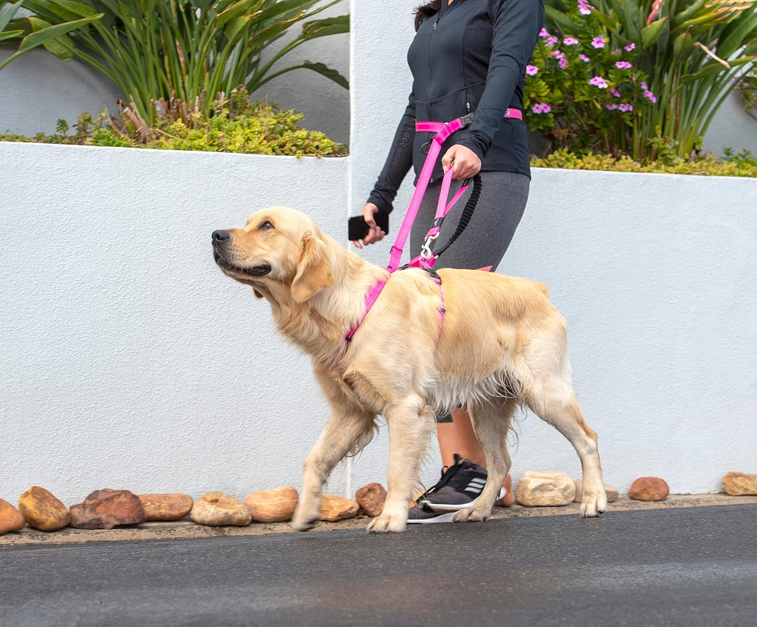 Rogz Classic Handsfree Dog Leads Black Medium image number 1