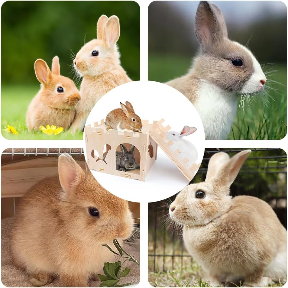 Natural Wooden Rabbit Hutch House with Ladder - Durable & Safe Mini Pet Shelter for Rabbits, Hamsters, Guinea Pigs - 13.7"X16.5"X13.3" - Minimalist Design
