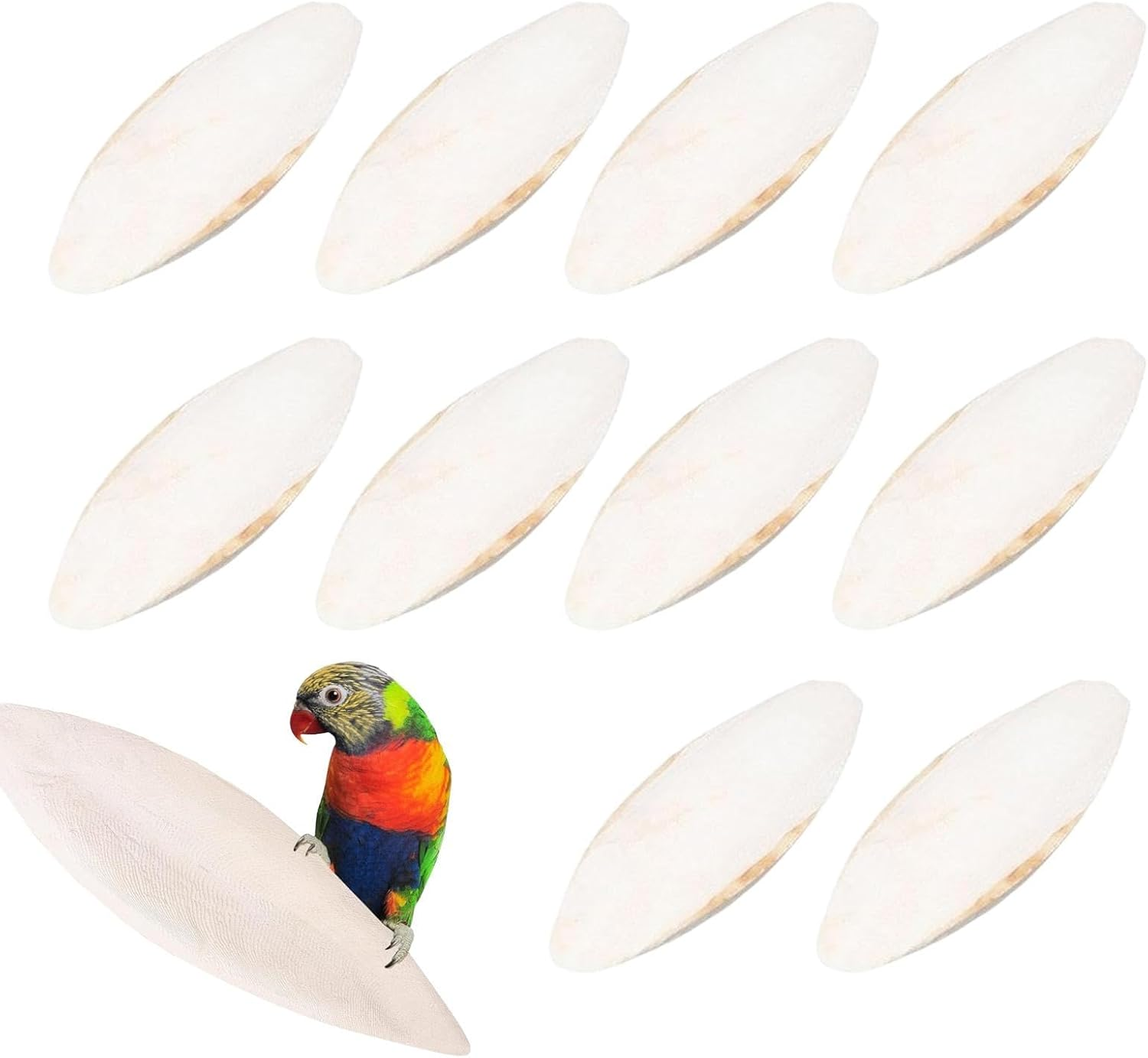 Cuttlebone for Tortoise | Cuttlebone Toy - Bird Cuddle Bone Toy Calcium Source Cuttlebone, Natural Bird Cuttlebone for Snails, Turtles