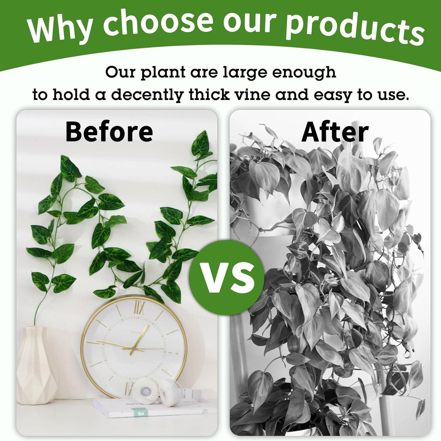 Plant Clips 40 Pcs Plant Wall Clips Plant Clips for Climbing Plants Indoor Plant Climbing Clips Plant Holder Clips Plant Climbing Wall Fixing Clip Plant Hanger Clip Vine Clips Vine Leaf Clips image number 1