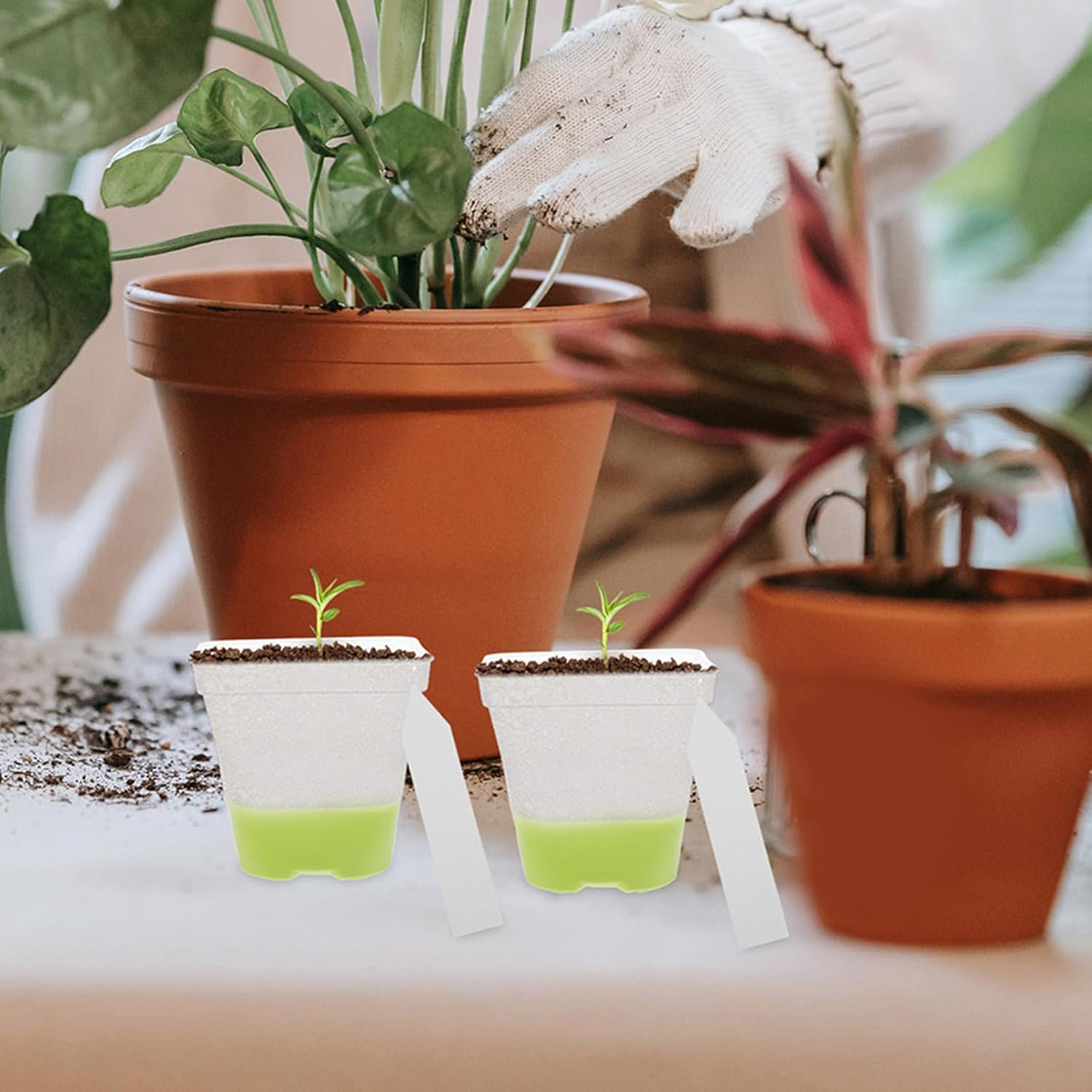 FONDOTIN 18Pcs Clear Plant Nursery Pots - 3" Reusable Plastic Planters with Drainage - Silicone Base Starter Pots for Seedlings Propagation Greenhouse Gardening image number 2