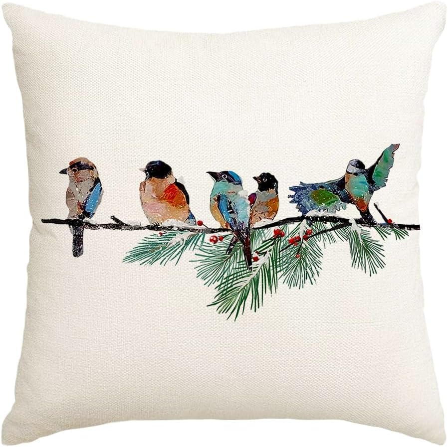 RABUSOFA Spring Summer Pillows Decorative Throw Pillows 20X20,Large Outdoor Bird Pillow Covers,Single Watercolor Hand-Painted Oil Painting Rustic Birds Square Pillow Cases for Couch Sofa