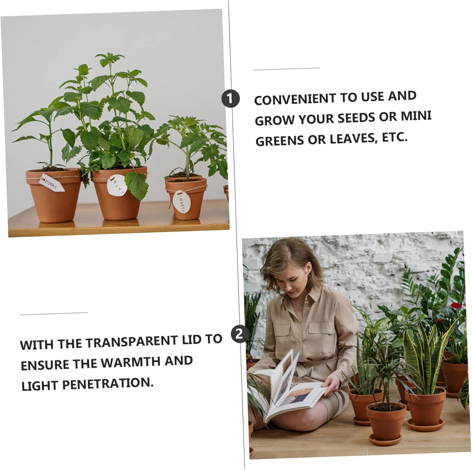 Garden Propagator Set 10 Pack Trays Lid and Bottom Holes for Healthy Plant Growth image number 5