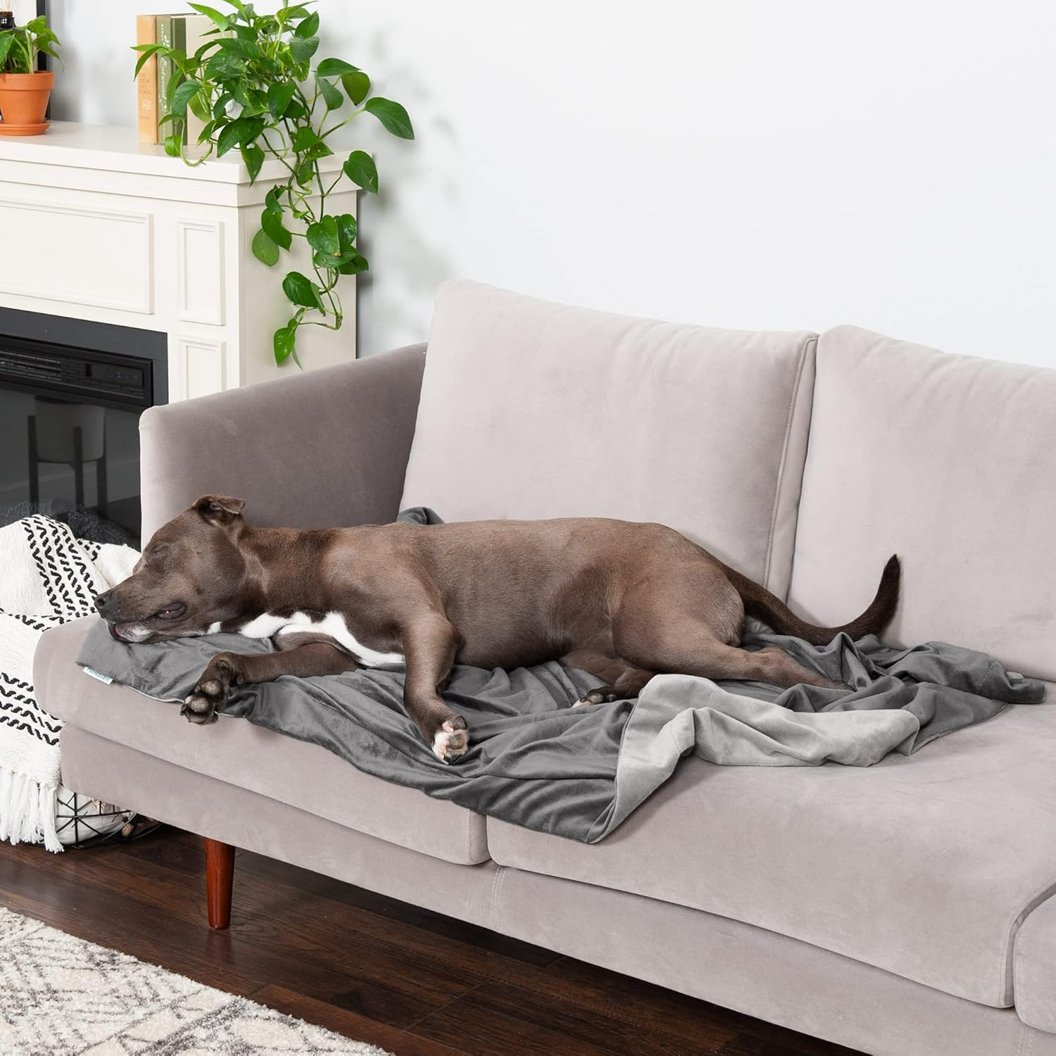 Furhaven Large Waterproof Two-Tone Luxe Velvet Dog Blanket, Washable - Granite Gray, Large image number 3