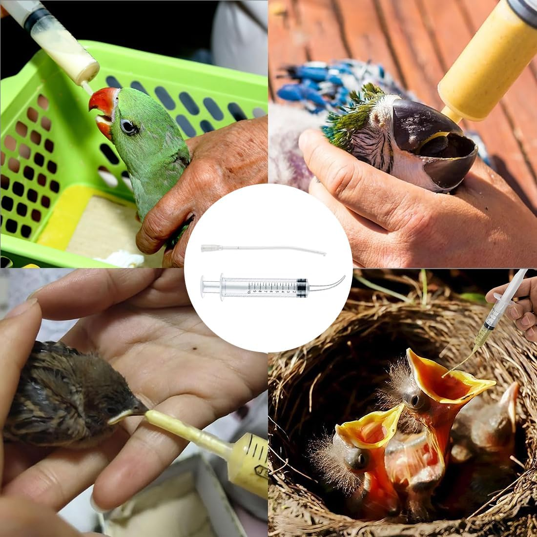 2 Pieces Feeding Tubes for Young Birds, Includes 10 Hose Connectors, Feeder Container, Manual Feeding Tool, Suitable for Young Birds and Parrots, Easy to Clean image number 5