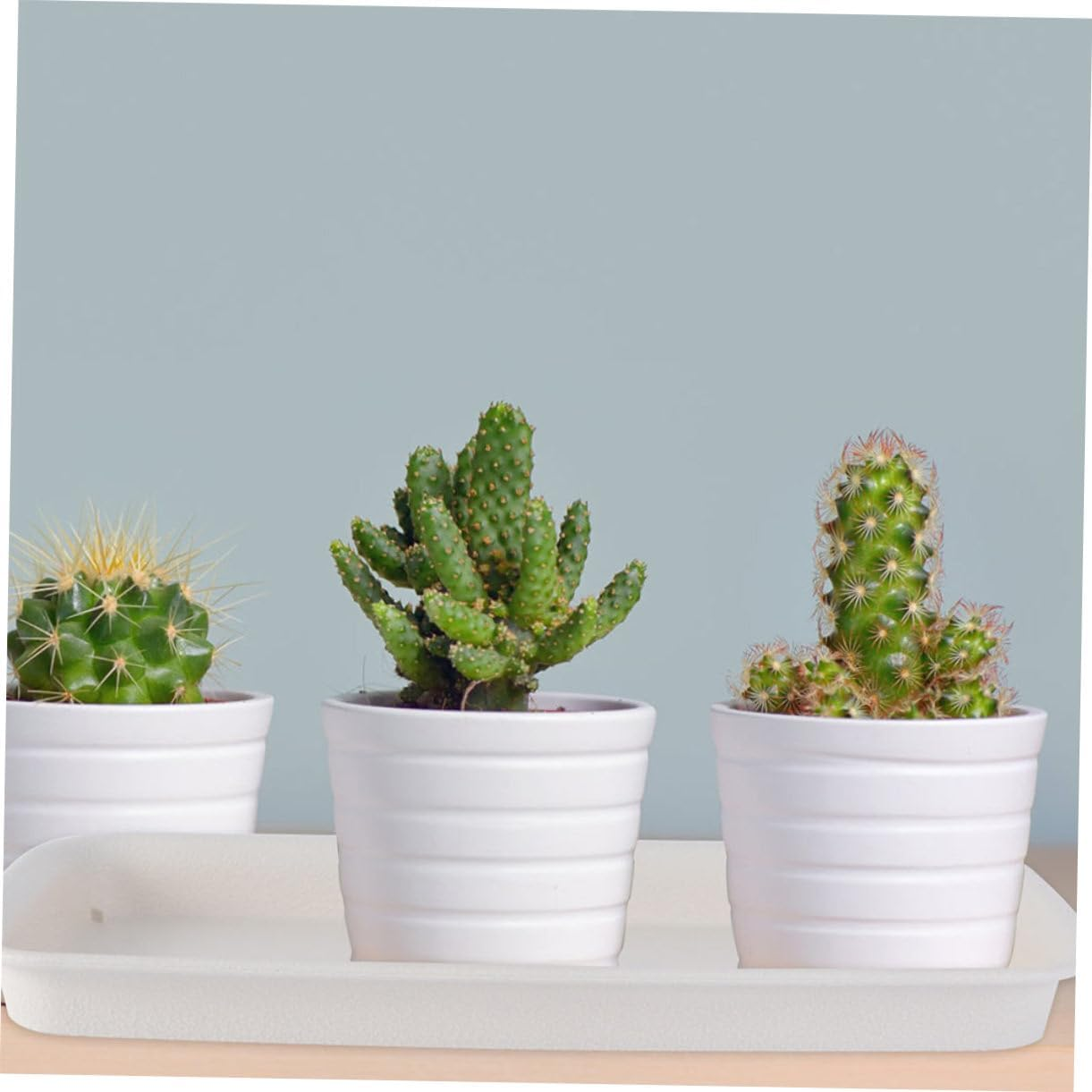 Outanaya 4Pcs Rectangular Flowerpot Trays for Gardening and Pots Saucer to Catch Excess Water Beige for Clean and Tidy Plant Care image number 5