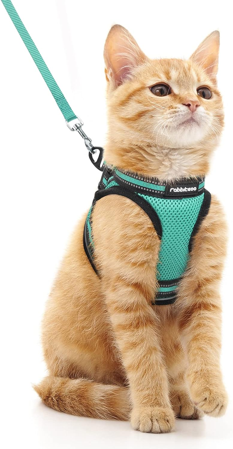 Rabbitgoo Cat Harness and Leash Set for Walking Escape Proof, Adjustable Soft Kitten Vest Harness with Reflective Strip for Cats, Step-In Comfortable Mesh Paded Outdoor Pet Harness, Black, M