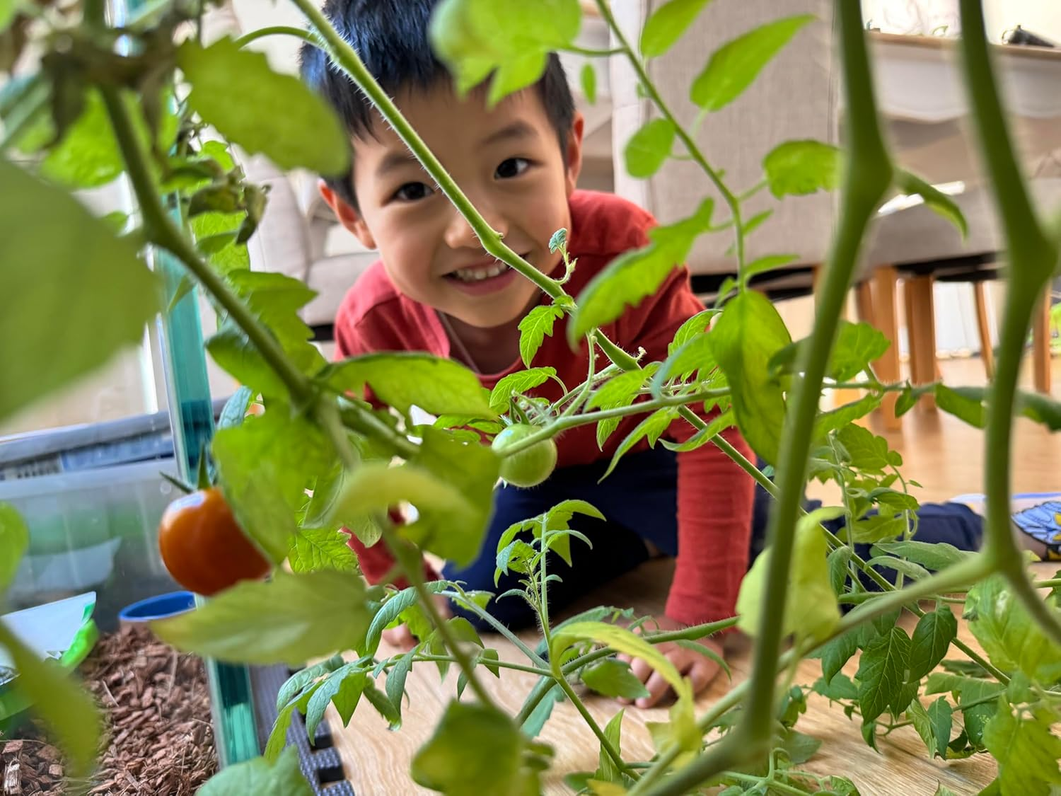 Naturepon Fish Garden Aquaponics Kit - Self-Cleaning Aquarium with Automatic Watering for Organic Herbs, Fruits, and Vegetables - Sustainable Greenhouse Indoor Gardening for Families and Kids image number 1