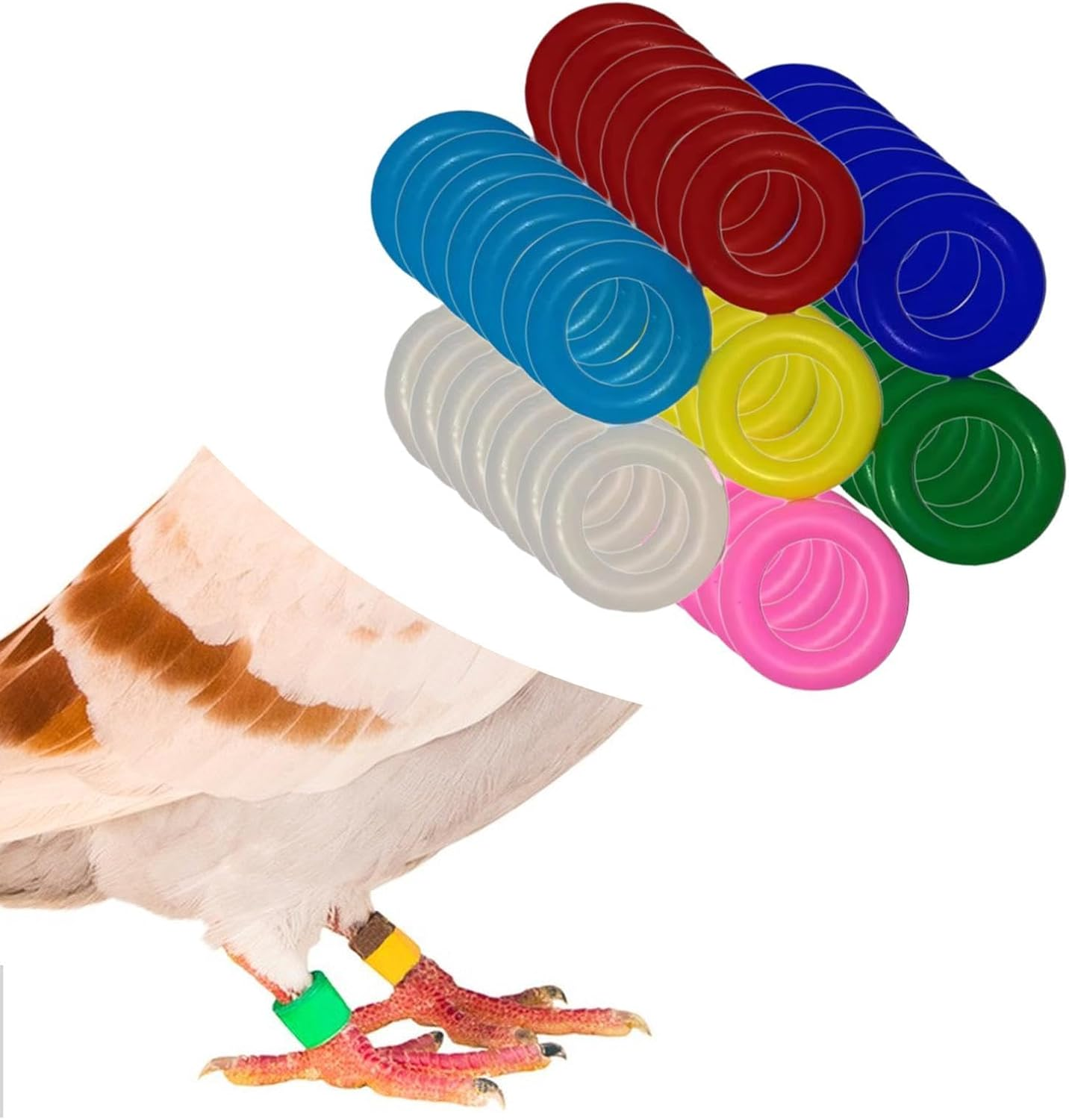 Whtkoph 100 Pcs Bird Leg Rings Foot Bands Rubber Bird Leg Bands Identification Leg Rings for Pigeons Routine Peonies, 9Mm image number 6