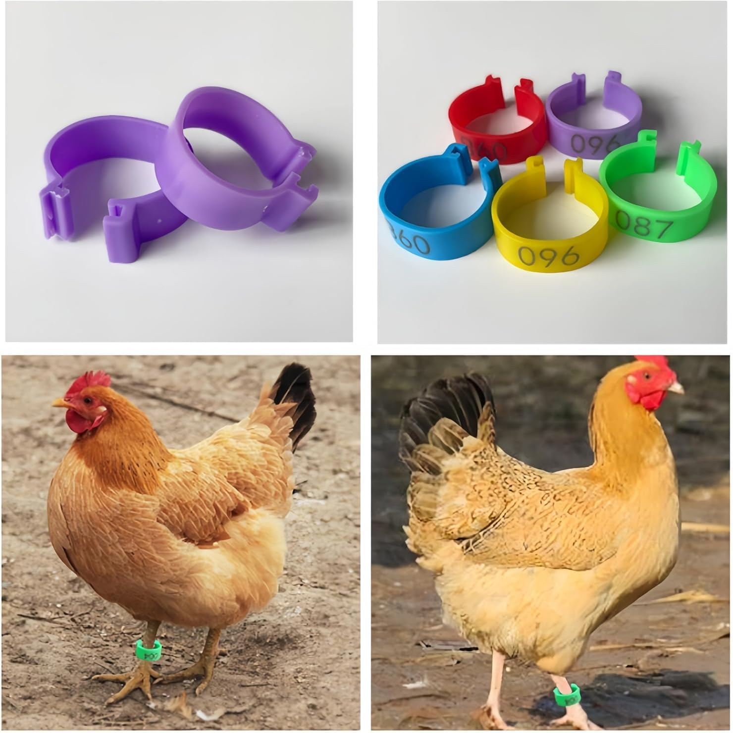 100Pcs Clip on Leg Rings Band Foot,Ai-Oumleef Chicken, 5 Colors Numbered,Colorful 001-100 Numbered Pigeon Foot Rings Birds Tags Leg Bands Clip for Dove Parrot Bird Identification(16Mm) image number 4