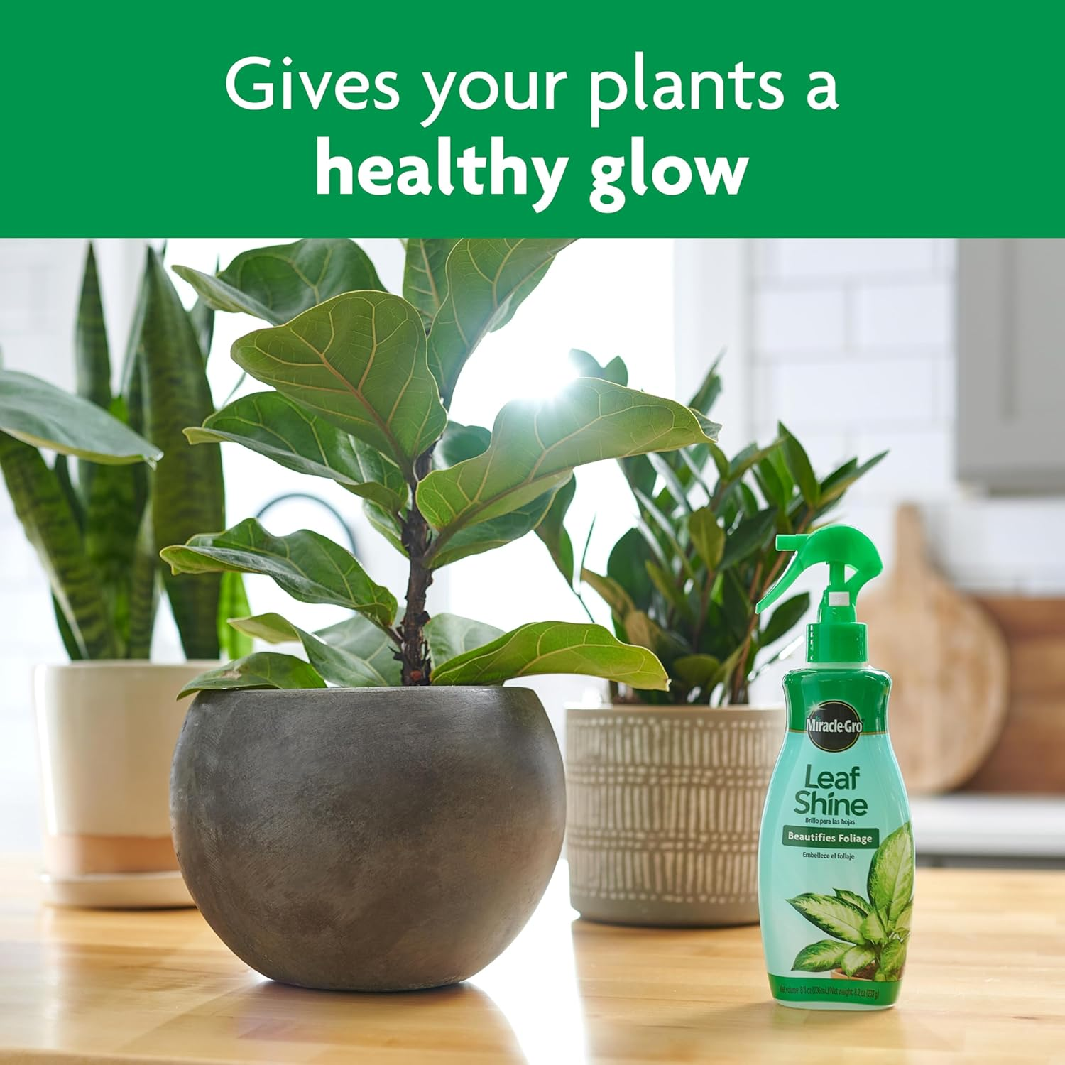 Miracle-Gro Leaf Shine, 8-Ounce Green image number 2