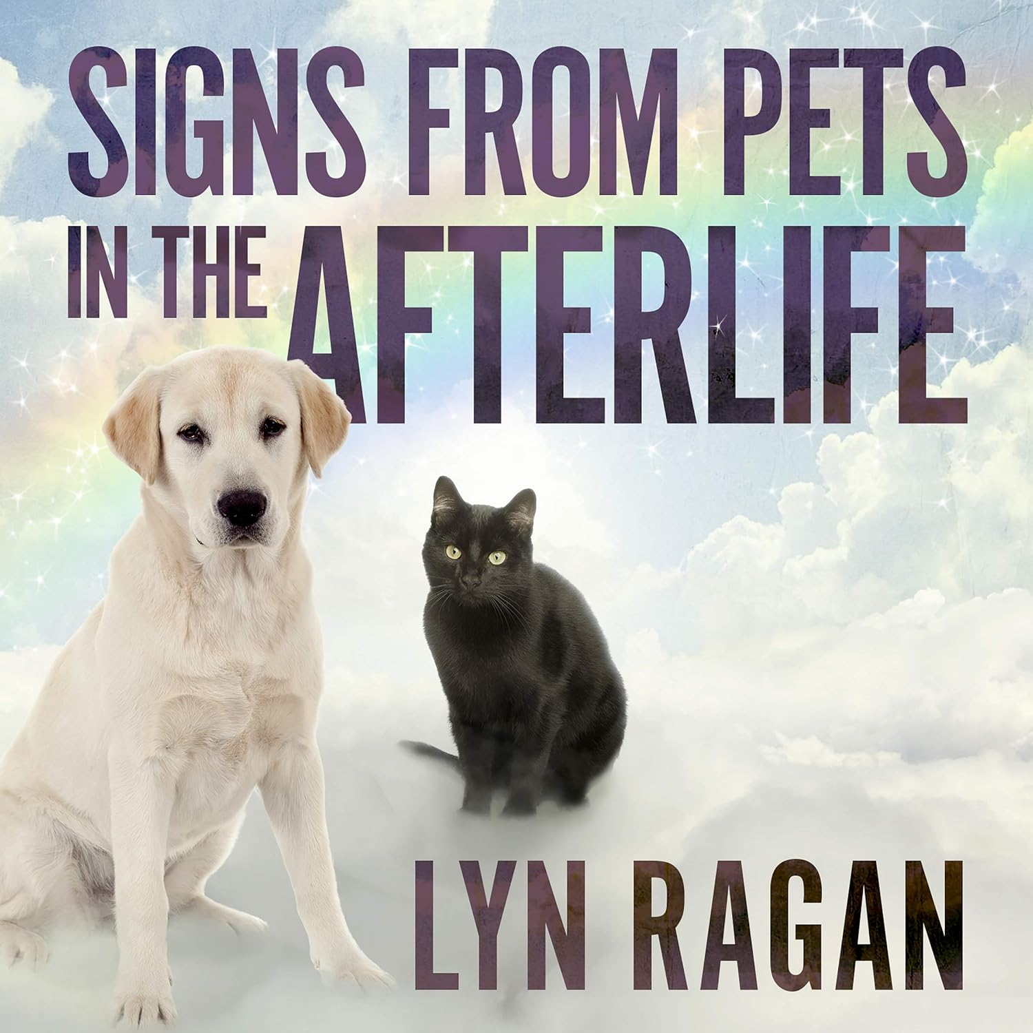 Signs from Pets in the Afterlife: Identifying Messages from Pets in Heaven image number 1