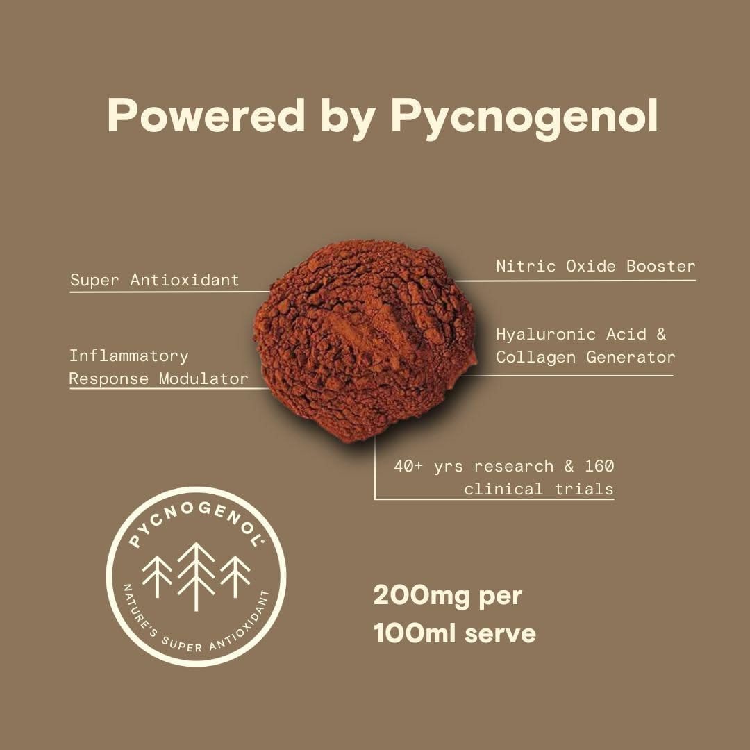 Modex Energy Supplement - Pycnogenol French Maritime Pine Bark Extract, Improve Performance & Endurance, Blood Circulation, Focus & Concentration, Immune System, 1 Litre image number 4