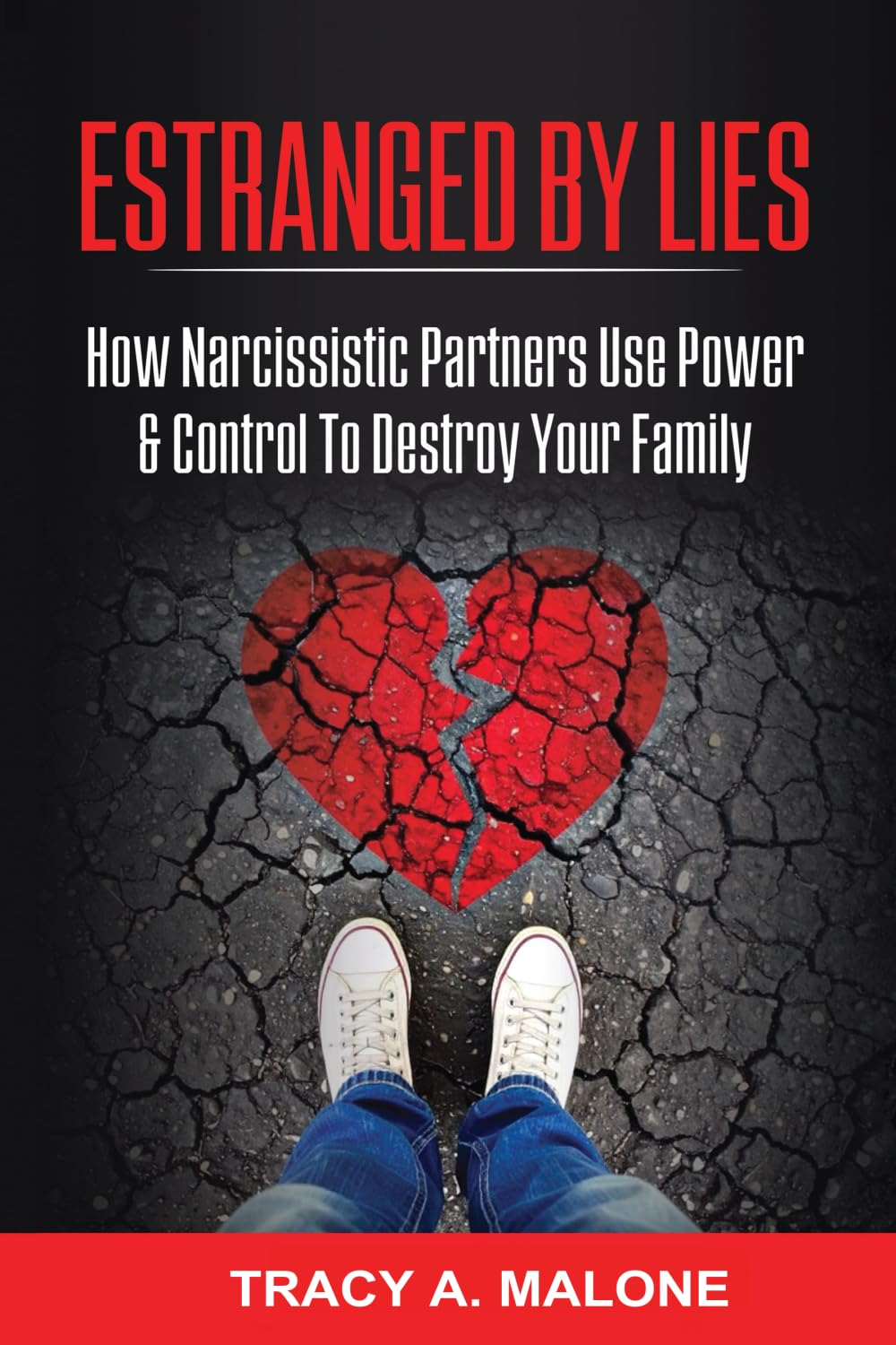Estranged by Lies: How Narcissistic Partners Use Power & Control to Destroy Your Family image number 1