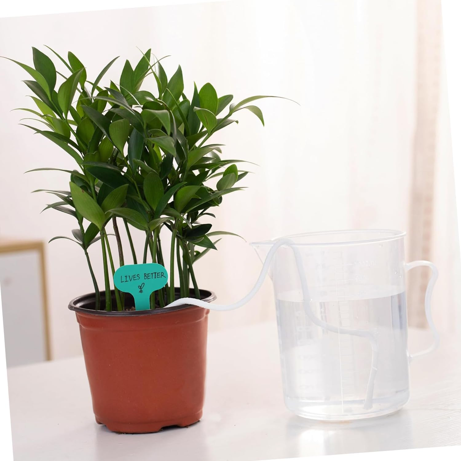 WEZCHUGHAOL 4Mm Self Watering Wick Cord - 10M Cotton String for Potted Plants, Automatic Drip Irrigation System, DIY Vacation Plant Waterer for African Violet, Herbs, No Electricity Needed