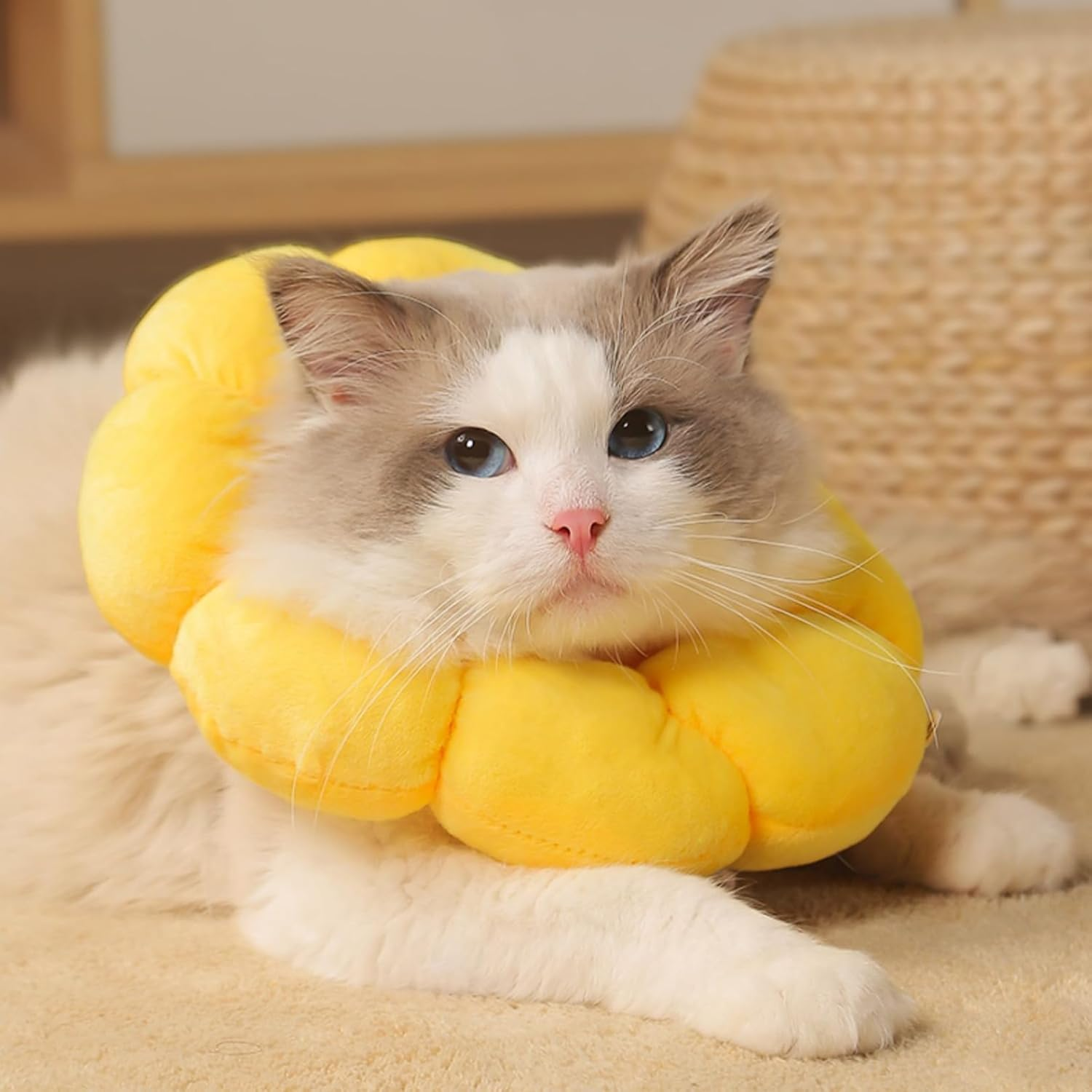 Cat Collar, Soft for Collar, Elizabethan Collar, Cat Collar, Cat Adjustable Elizabethan Collar, Pets Scratching after Surgery Protection, Dog Collar image number 6