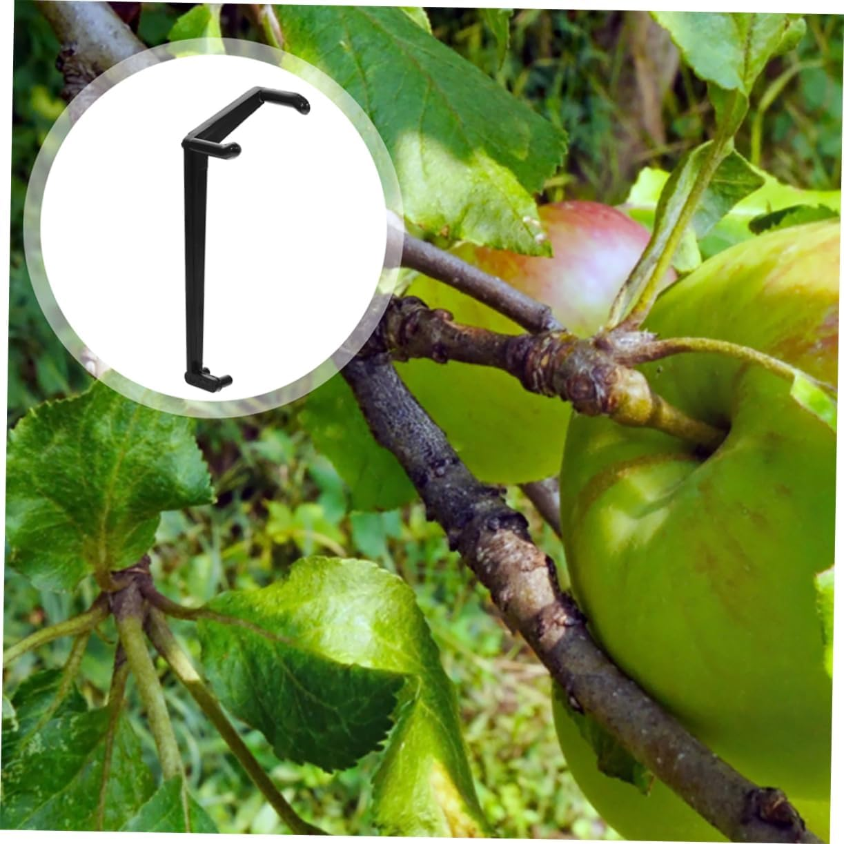 Outanaya 50Pcs Plastic Branch Spreaders for Fruit Trees Adjustable Limb Spreaders Gardening Grafting Tools Tree Branch Clips Support Bending and Shaping Limbs