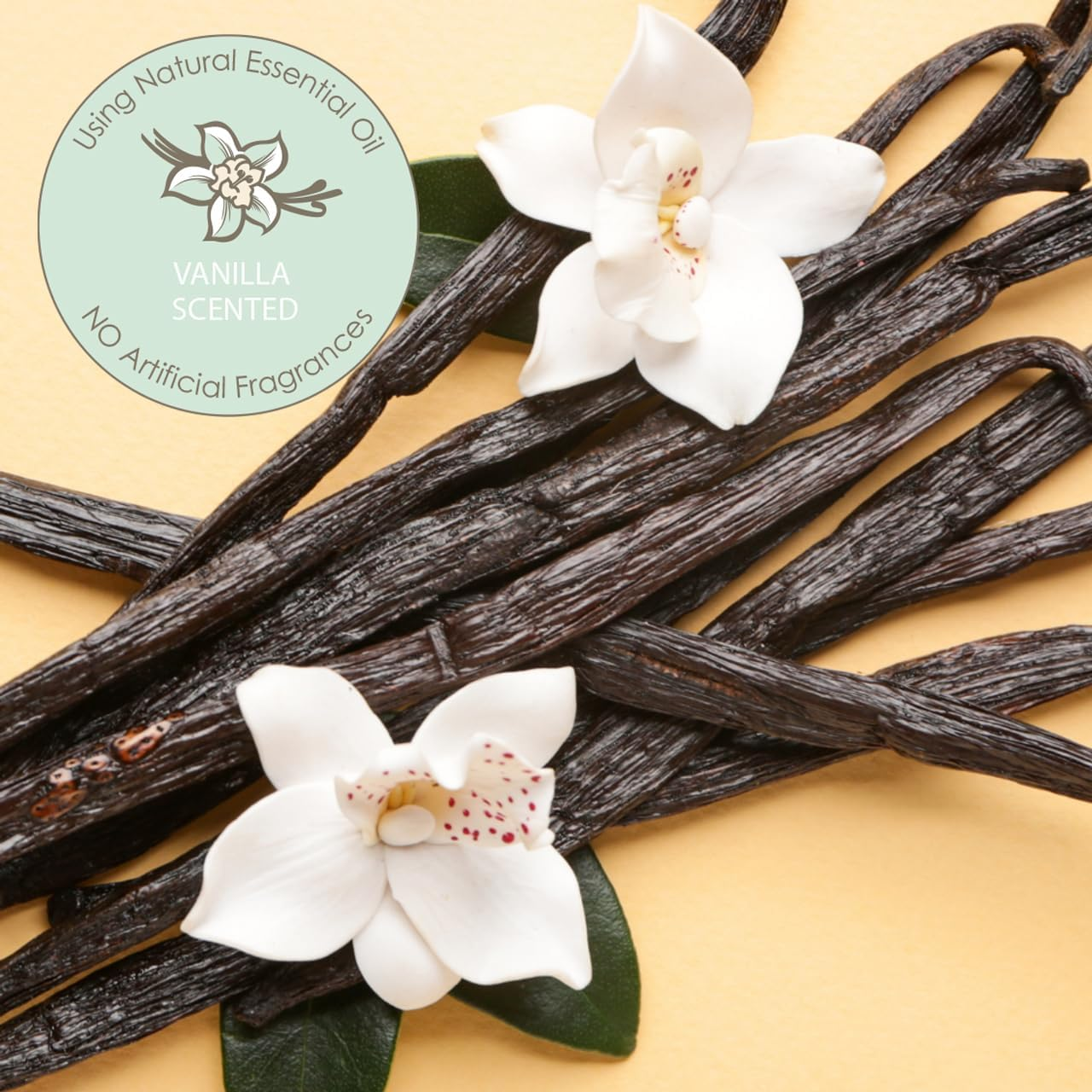 Moodie Teddy Bear Dispenser & Refill Roll Combo Set | Vanilla Scented image number 4