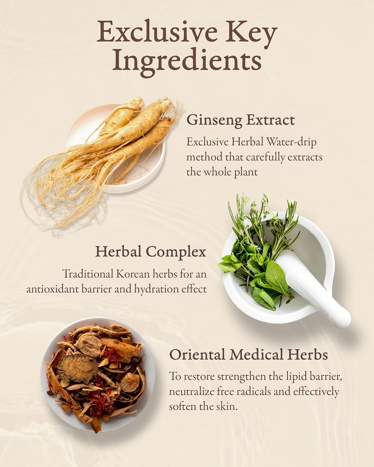 Sooryehan Bon Extra Moisture Korean Skin Care Gift Set (13.01 Fl Oz) - Luxury Premium High-End by LG Beauty. Hydrating Toner, Emulsion Lotion, Cleansing Foam, Eye Cream. image number 5