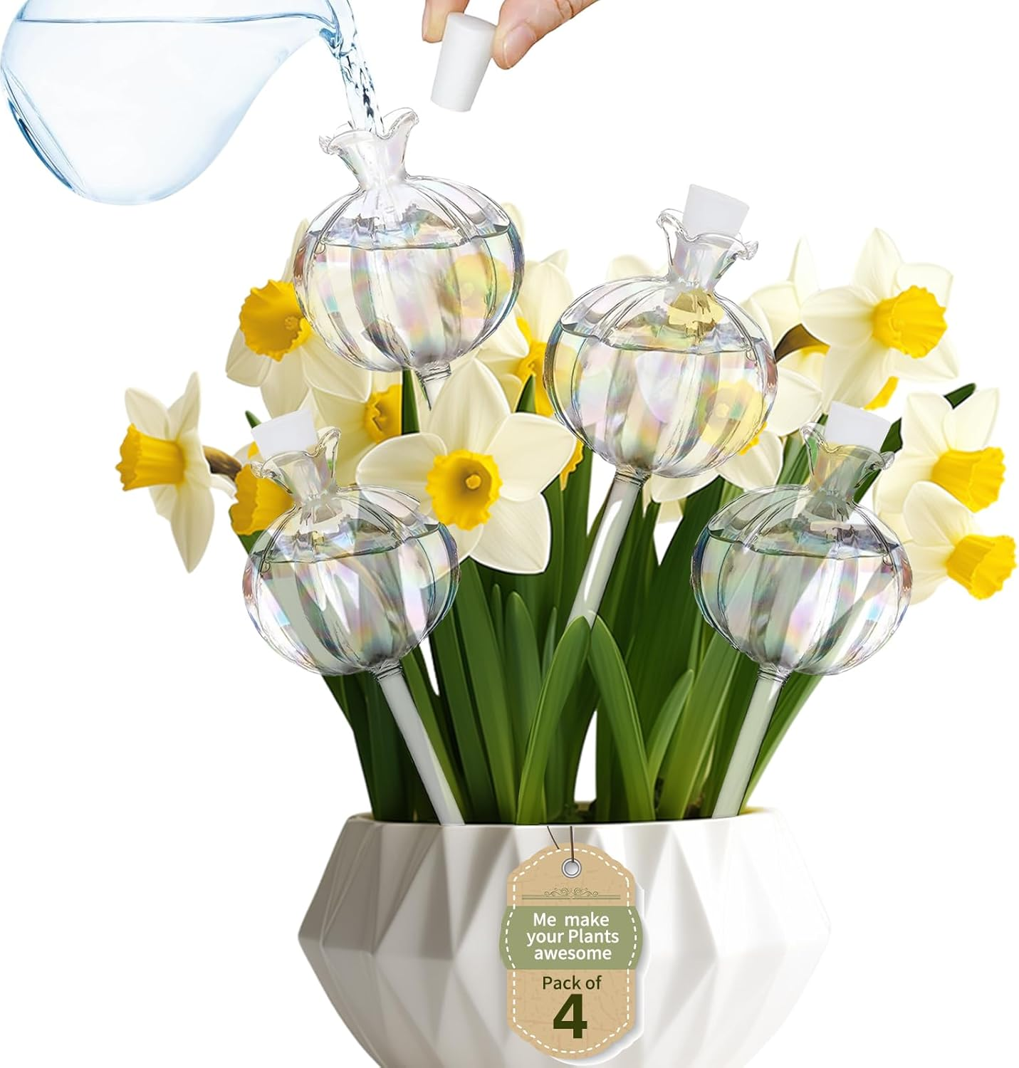 Aiiyiihii 4 Pack Plant Watering Globes, Pomegranate Shape Clear Glass Water Bulbs for Indoor Plants, Decorative Automatic Water Globes for Outdoor Plants, Glass Plant Waterer Self Watering Spikes image number 4