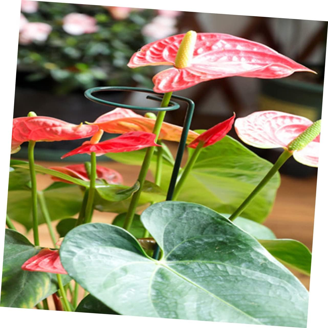 Yardwe Flower Support Stakes Pack Plant Supports for Climbing Stems Gardening Tool