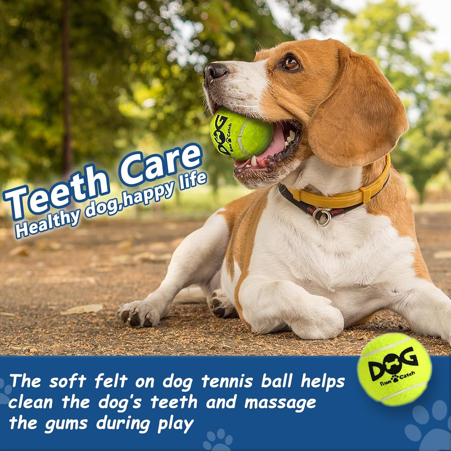 Insum Tennis Ball for Dog Pack of 12 Colorful Easy Catching Pet Dog Ball image number 2