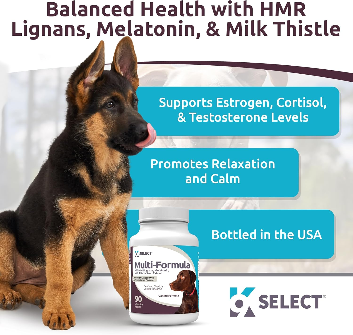 K9 Select Multi-Formula Dog Vitamins for Large Dogs - 30Mg HMR Lignans, 3Mg Melatonin, 60Mg Milk Thistle - Helps Heart, Liver, Digestion, Skin & Coat Health, Dog Multivitamin, 90 Tablets, Beef Flavor image number 3