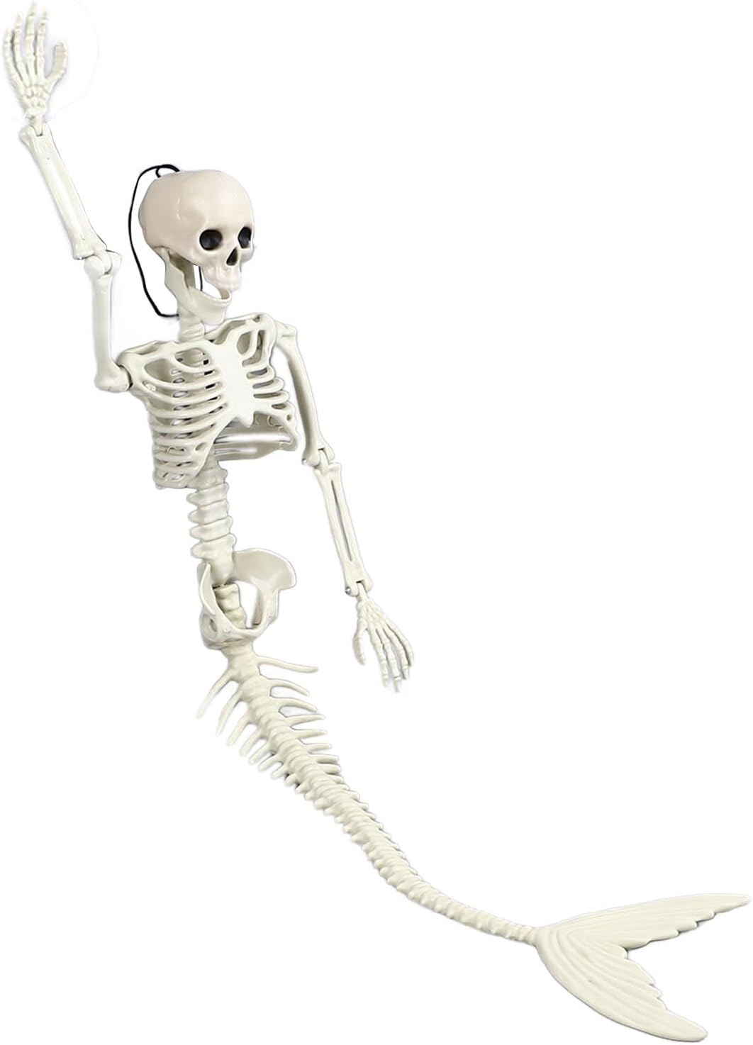 Skeleton, Life Size Skeleton Mermaid Halloween Outdoor Decorations Movable Posable Jointsfull Body Skeleton Mermaid Props,Halloween Skeleton Decorations Full Body Skeleton Mermaid