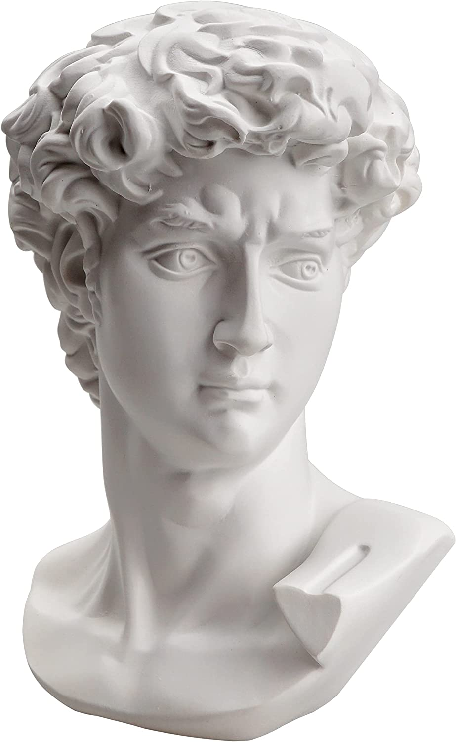 6 Inch Greek Michelangelo David Bust Statue