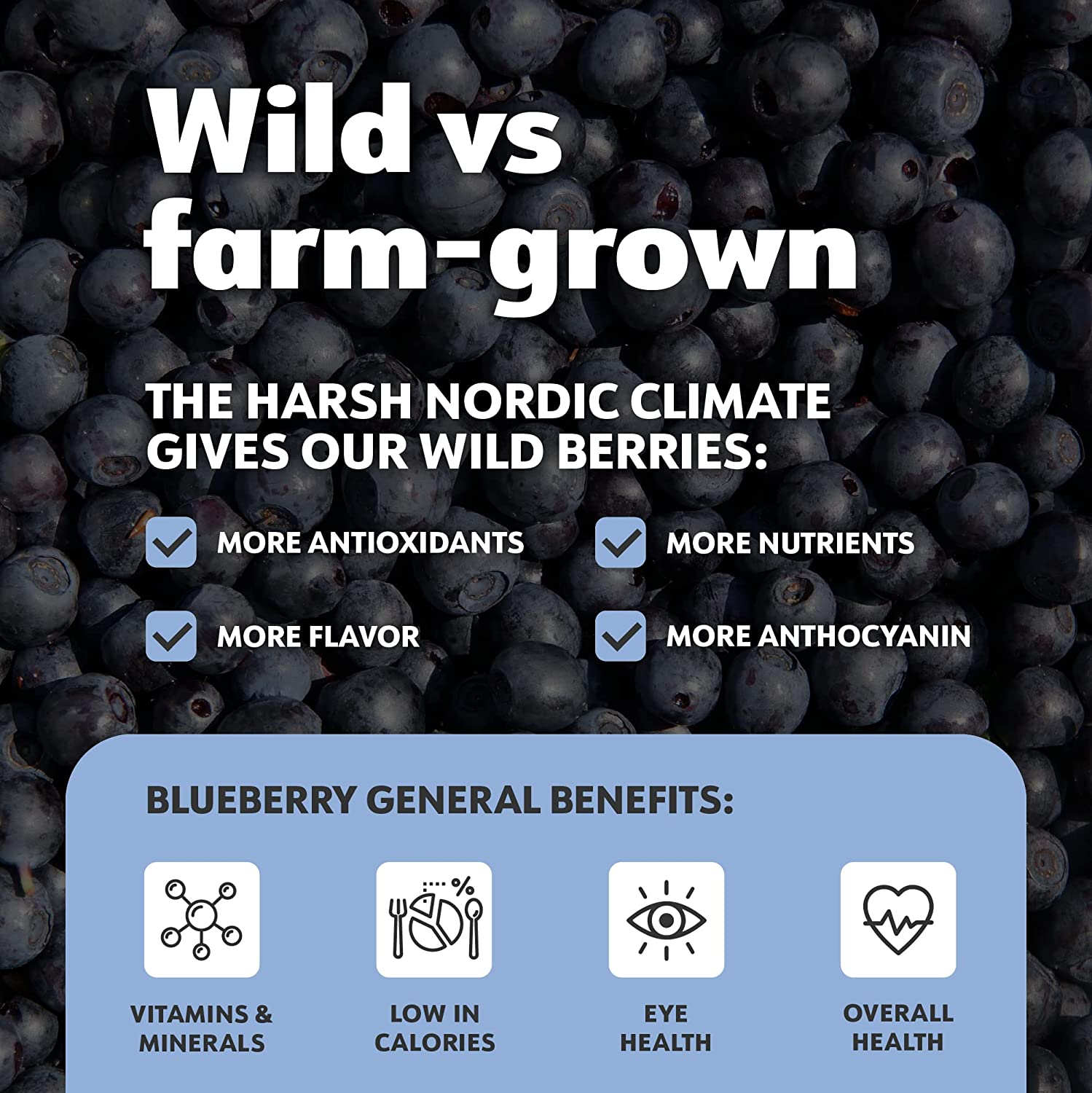 LOOV Organic Wild Blueberry Powder, Wild-Crafted from Nordic Forests, 100% Whole Fruit Bilberry, 52-Day Supply, 250 Grams, Freeze-Dried and Powdered Blueberries, No Added Sugar image number 6