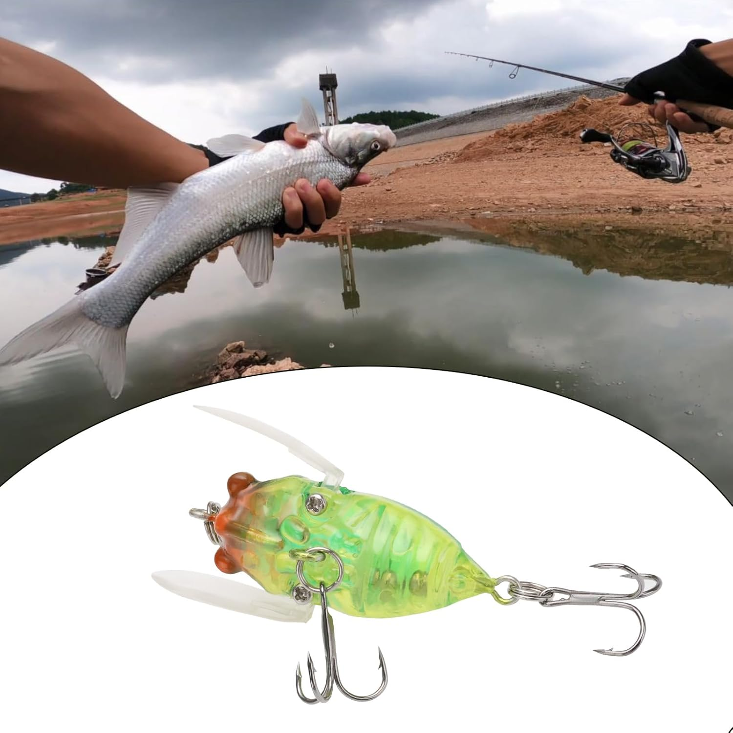5Pcs Fishing Lure Hook Cicada Shape Fishing Bait 6G/5Cm Freshwater Crank Baits Artificial Cicada Lures for Topwater Fishing image number 1