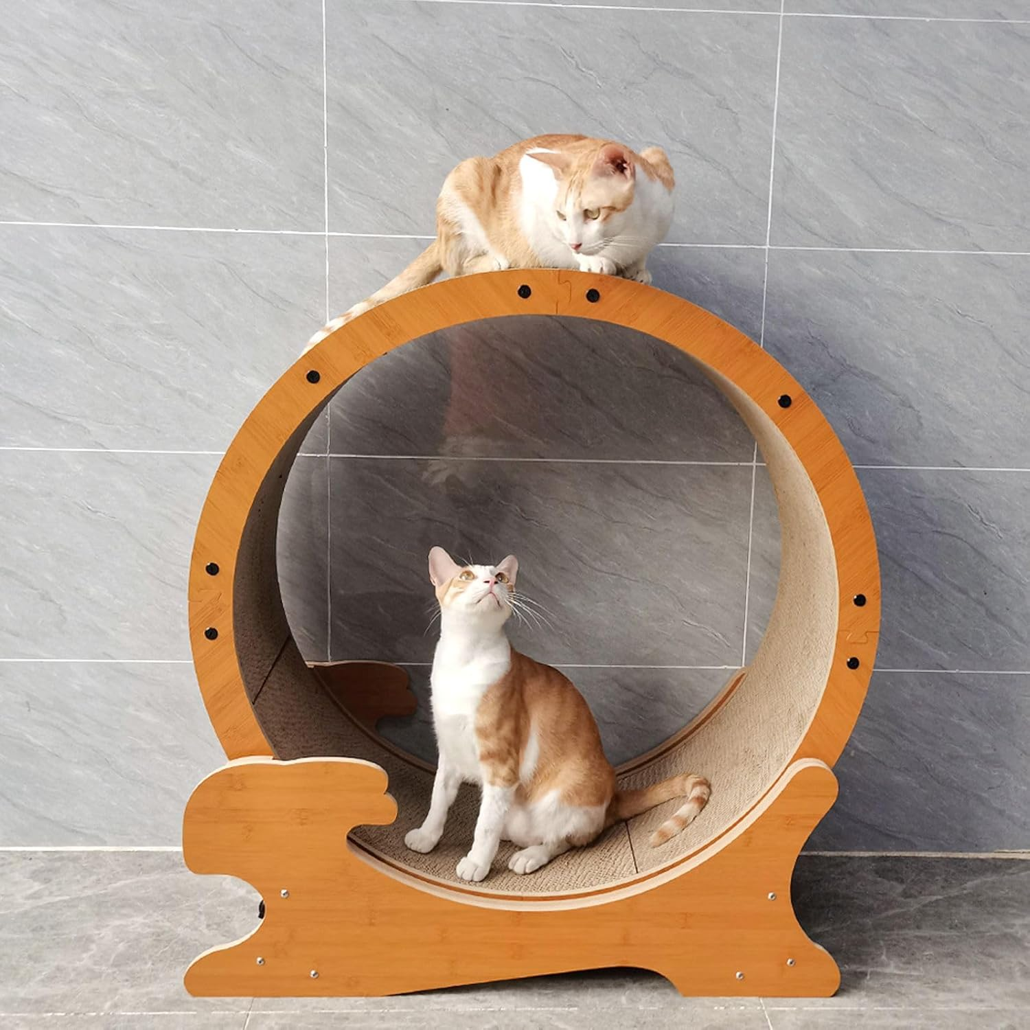 Pet Scene Cat Exercise Wheel Toy Running Exerciser Treadmill Scratching Furniture Scratcher Board Roller Indoor Kitten Play Gym Kitty Training Sports Equipment image number 3