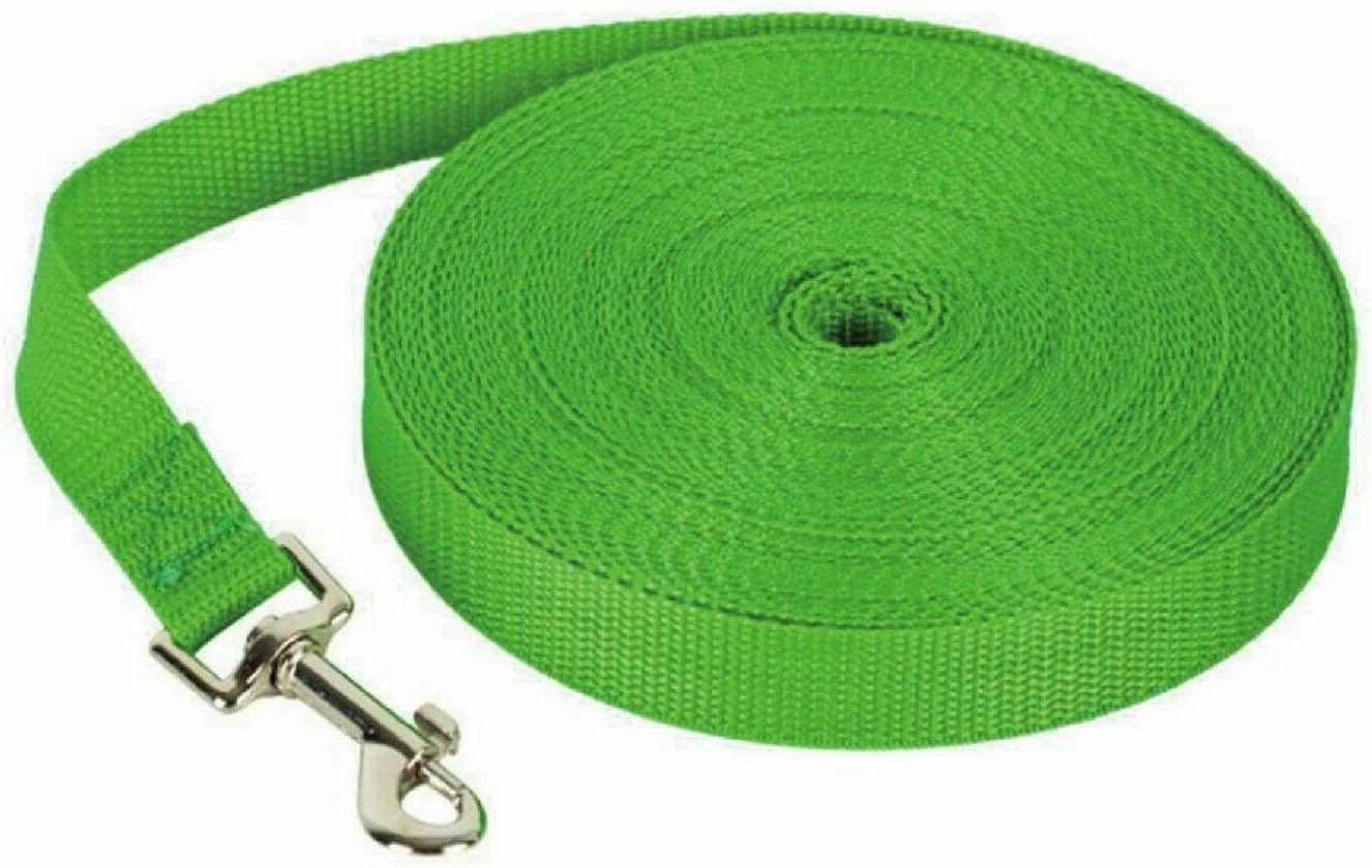 16.4Ft (5M) Long Lead-Training Leash/Long Line Nylon Comfortable Durable Dog Leash for Dog/Puppy Training,Play,Camping,Extra Long Dog Leash - Orange