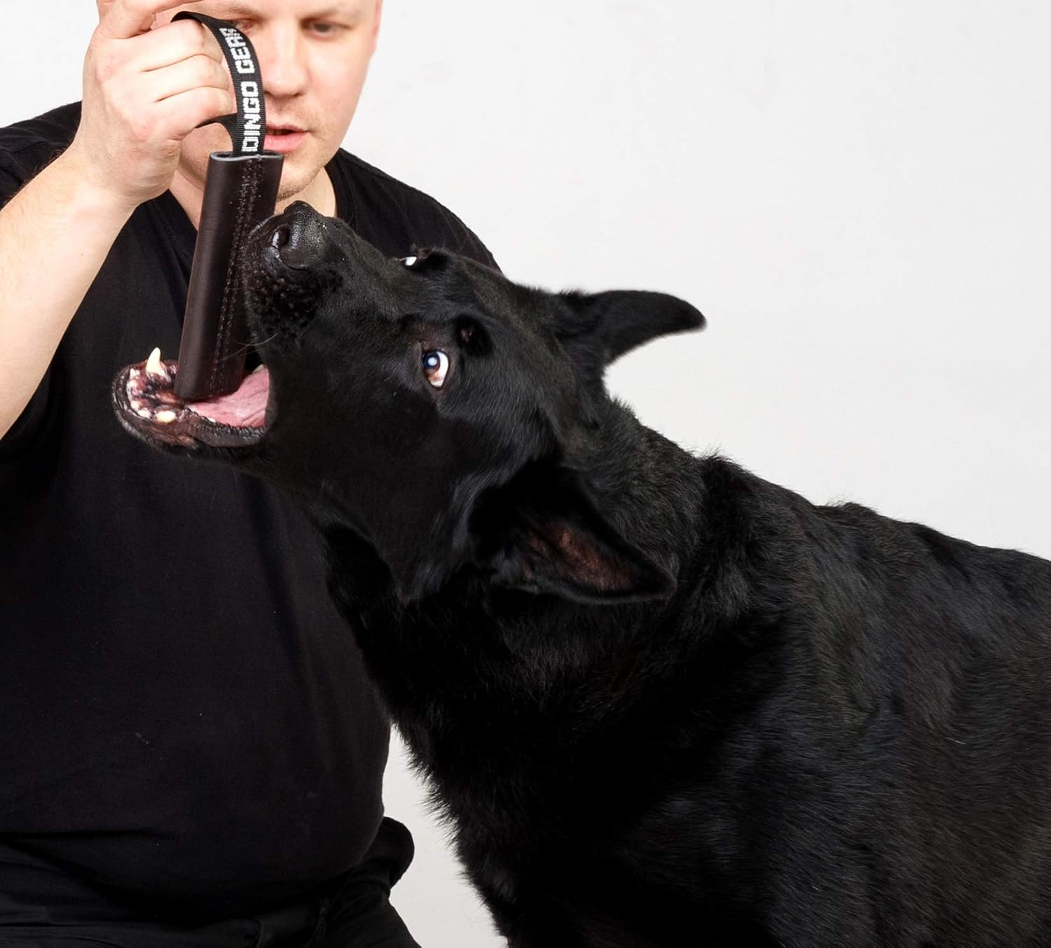 Dingo Gear Dog Bite Tug Handmade of Brown Grain Leather, Strong Tug for Bite Training K9 IPO Agility and Just Fun S00230