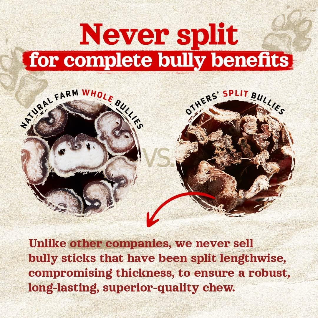 Natural Farm Odor Free Jumbo Bully Sticks (6 Inch, 12 Pack), Extra-Thick Dog Treats &ndash; Fully Digestible 100% Beef Treats, Natural Dental Chews &ndash; Keep Your Dog Busy with 50% Longer Lasting Chews image number 6