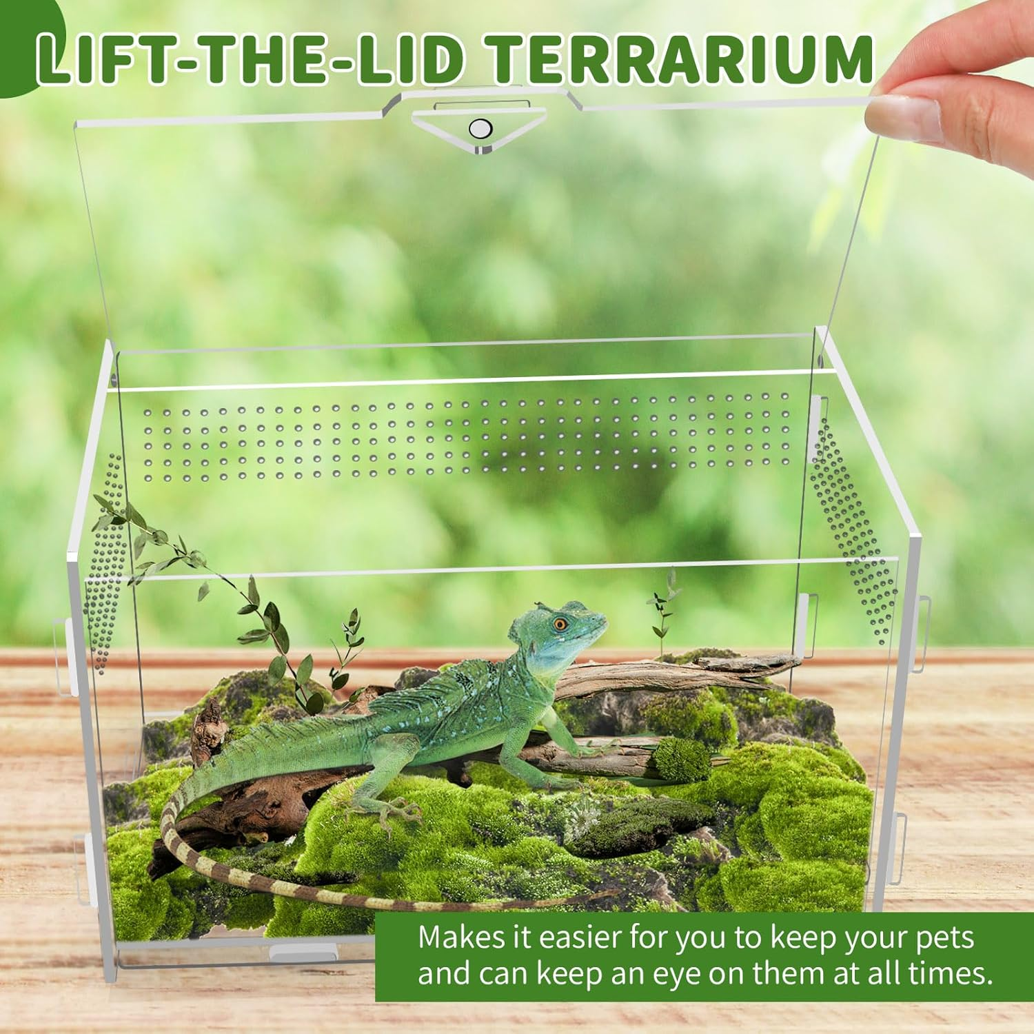 2 Sets Acrylic Clear Reptile Tank Accessories, Mini Spider Enclosure 7.9&rsquo;&rsquo;X4.8&rsquo;&rsquo;X4.8&rsquo;&rsquo;, Jumping Spider Enclosure - Acrylic Terrarium for Tarantulas, Reptiles (20 X 12 X 12Cm) image number 3