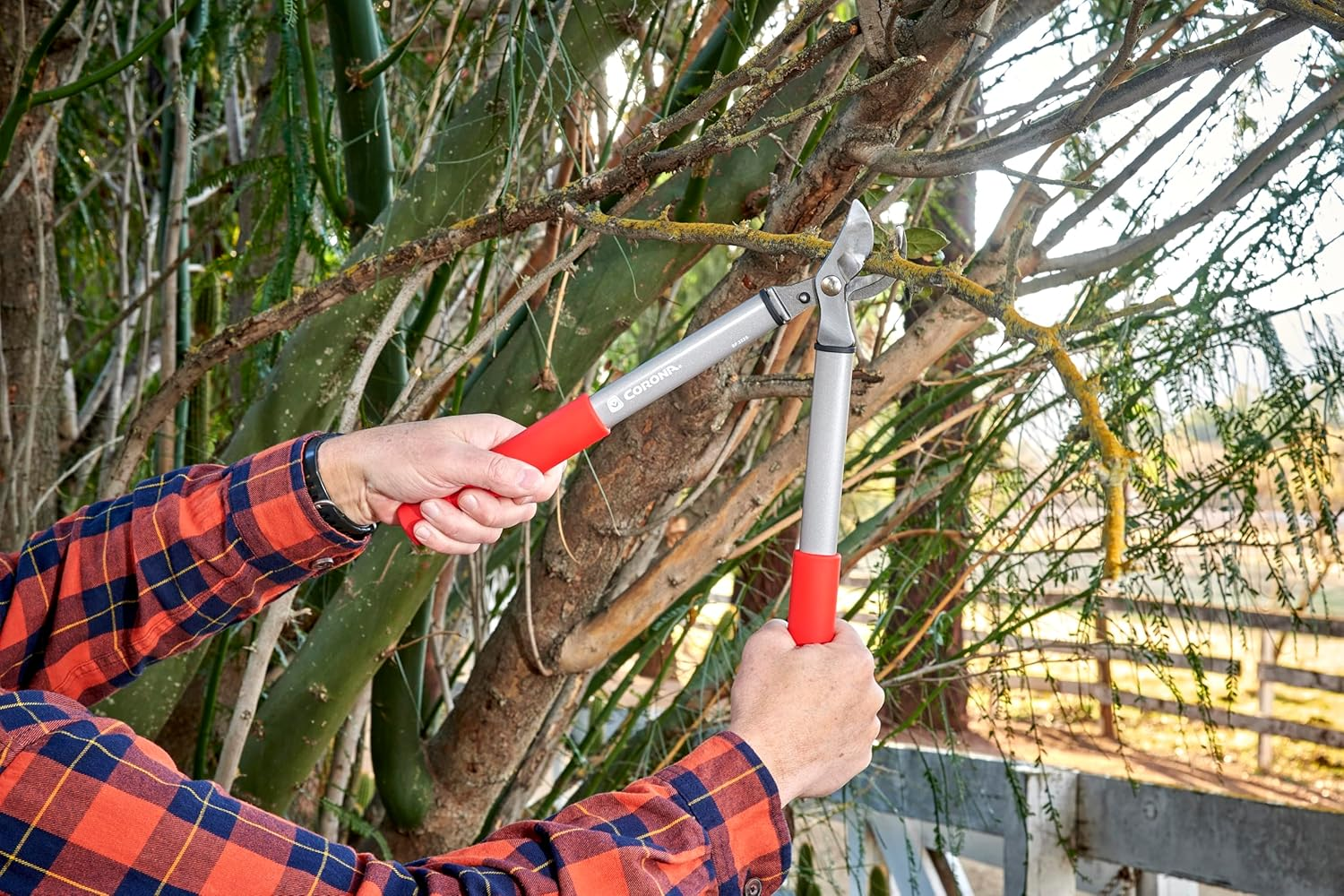 Corona Tools BP 3225D Forged Steel Classiccut Two-Handed Bypass Pruner-3/4 Inch Cut Capacity Stem and Branch Garden Shears, Red image number 4