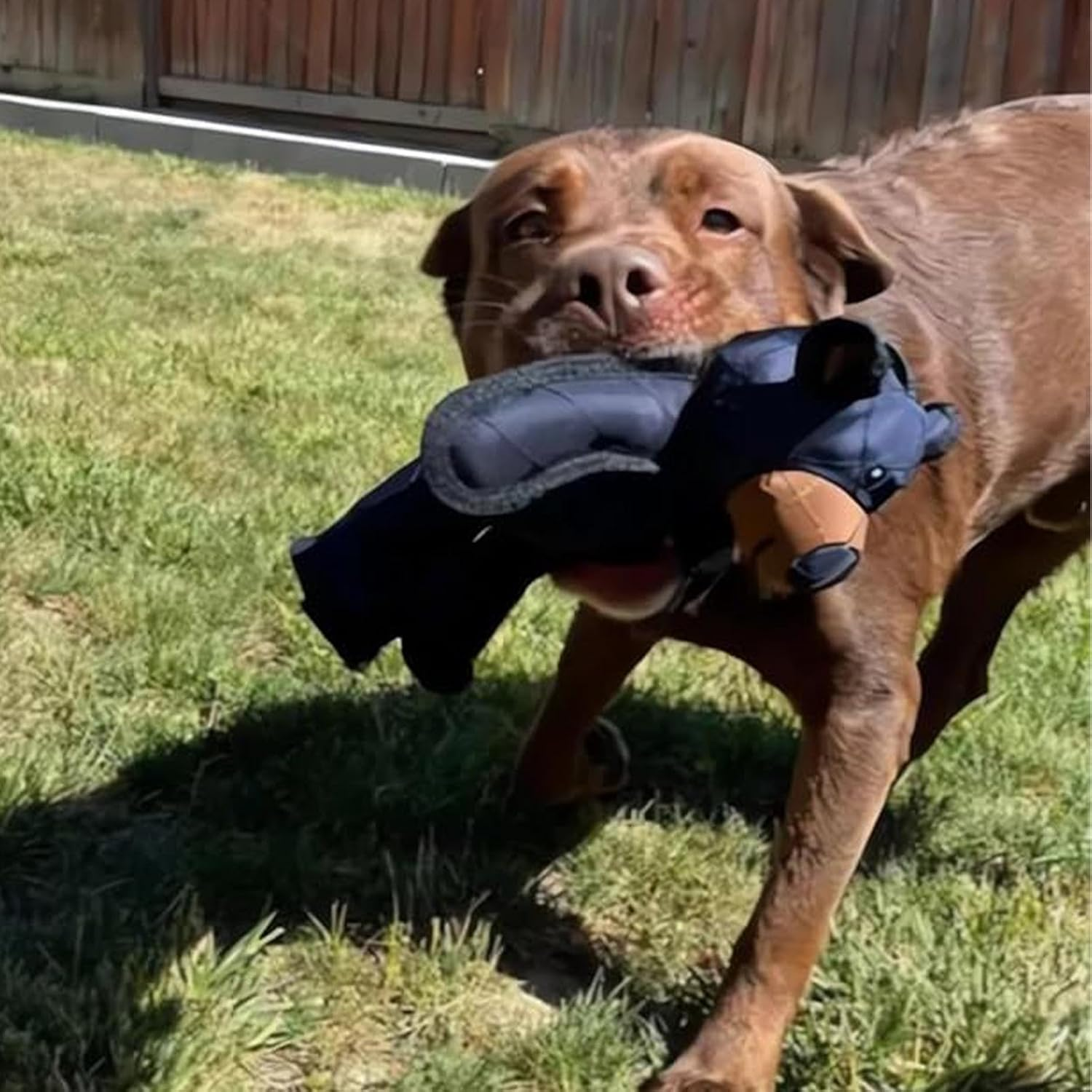 Indestructible Dog Toy Bear, Unbreaka Bear, Squeaky Dog Toys, Heavy Duty Interactive Puppy Chew Plush Toy for Large Dogs image number 3