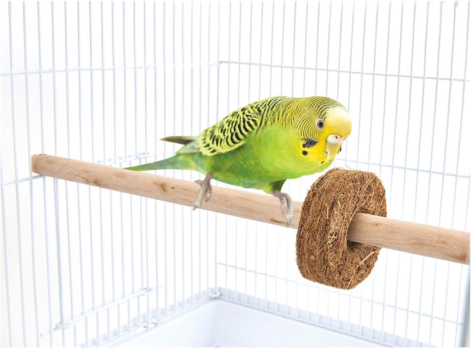 Minimal Land Bird Palace Coconut Ring Set of 2 X 3 Pcs for Small Birds Toy, Natural Material, Can Play with Rod, Stress Relief image number 4