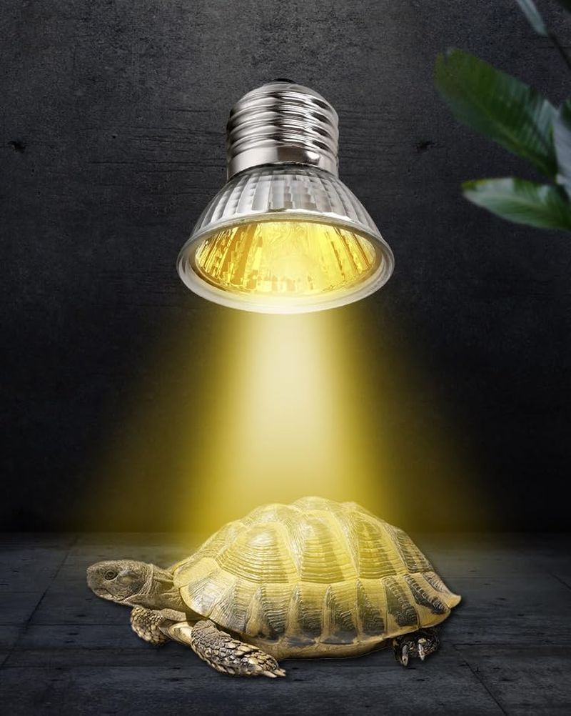 UVA UVB Reptile Light Bulbs, Heat Lamp Bulbs for Reptiles and Amphibians, Basking Light Bulb for Turtle, Bearded Dragon, Lizard Heating Use (3.0 25W 3-Pack) image number 6